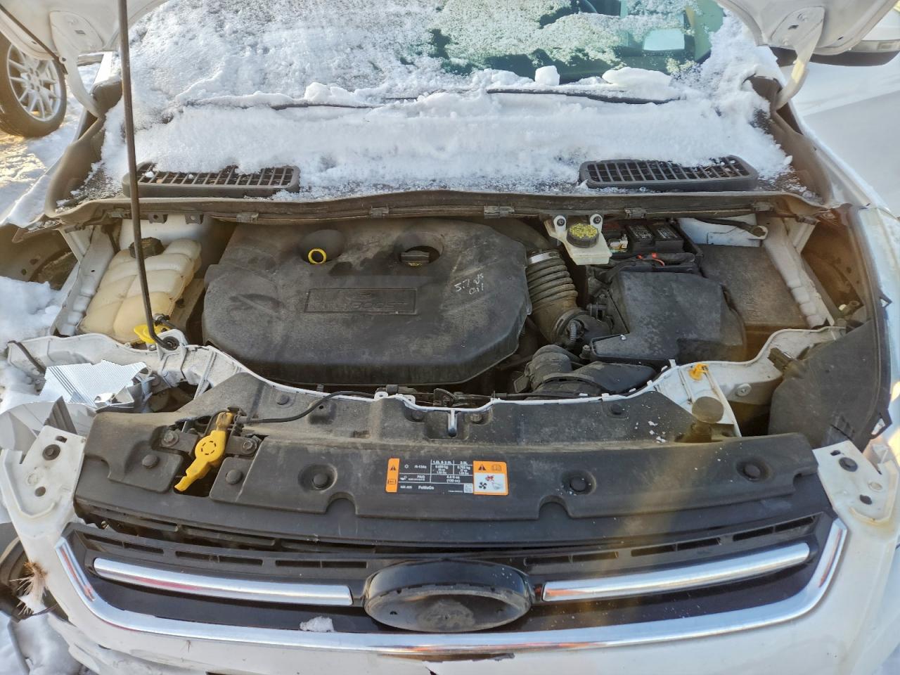 2014 FORD ESCAPE TITANIUM photo 12