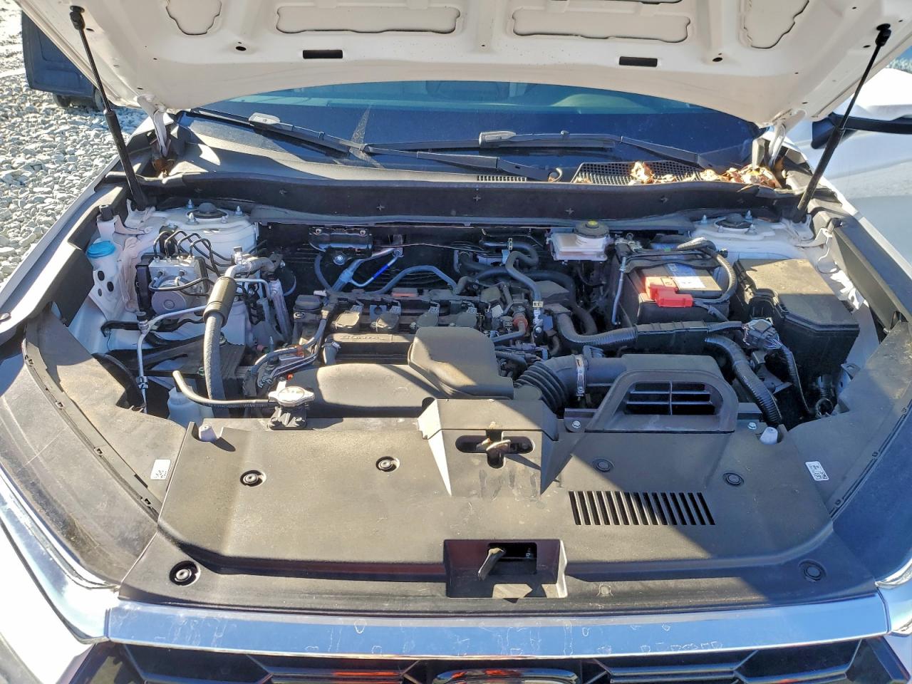 2024 HONDA CR-V EXL photo 12