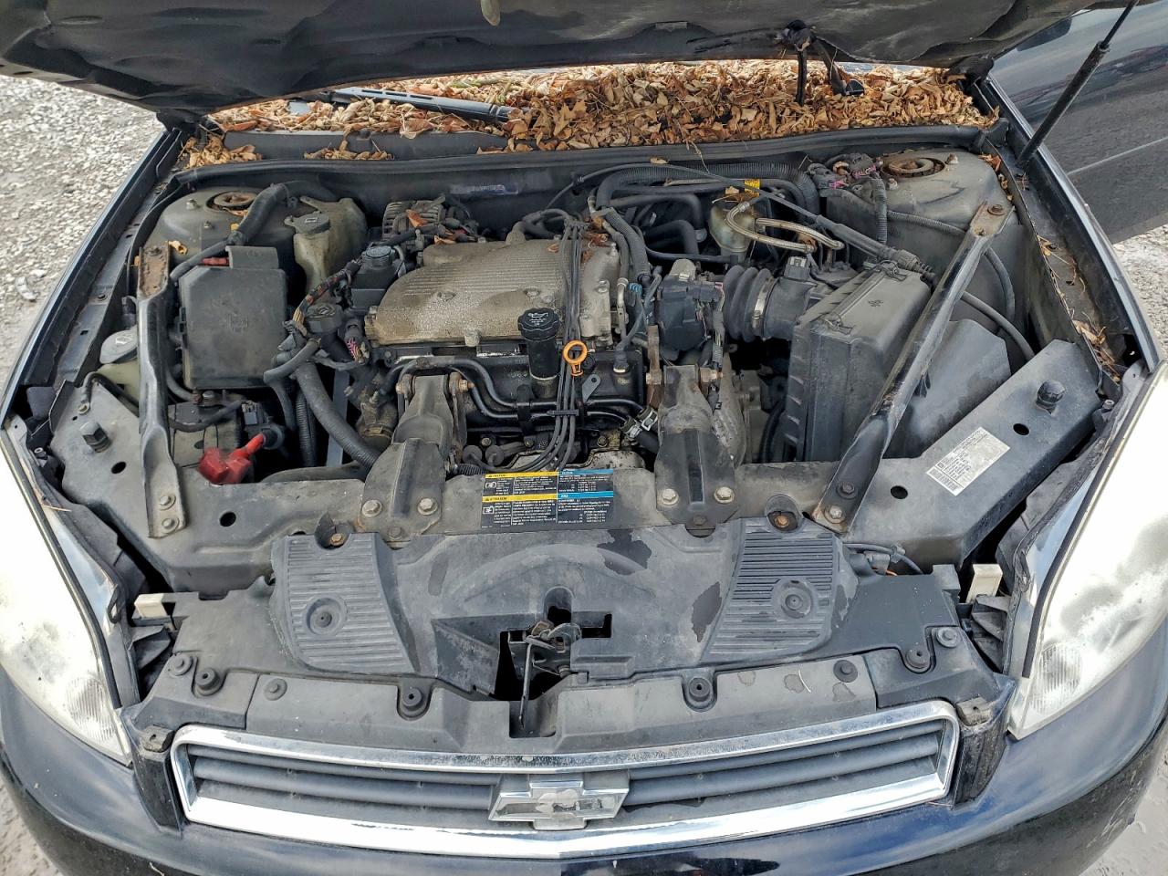 2009 CHEVROLET IMPALA photo 11