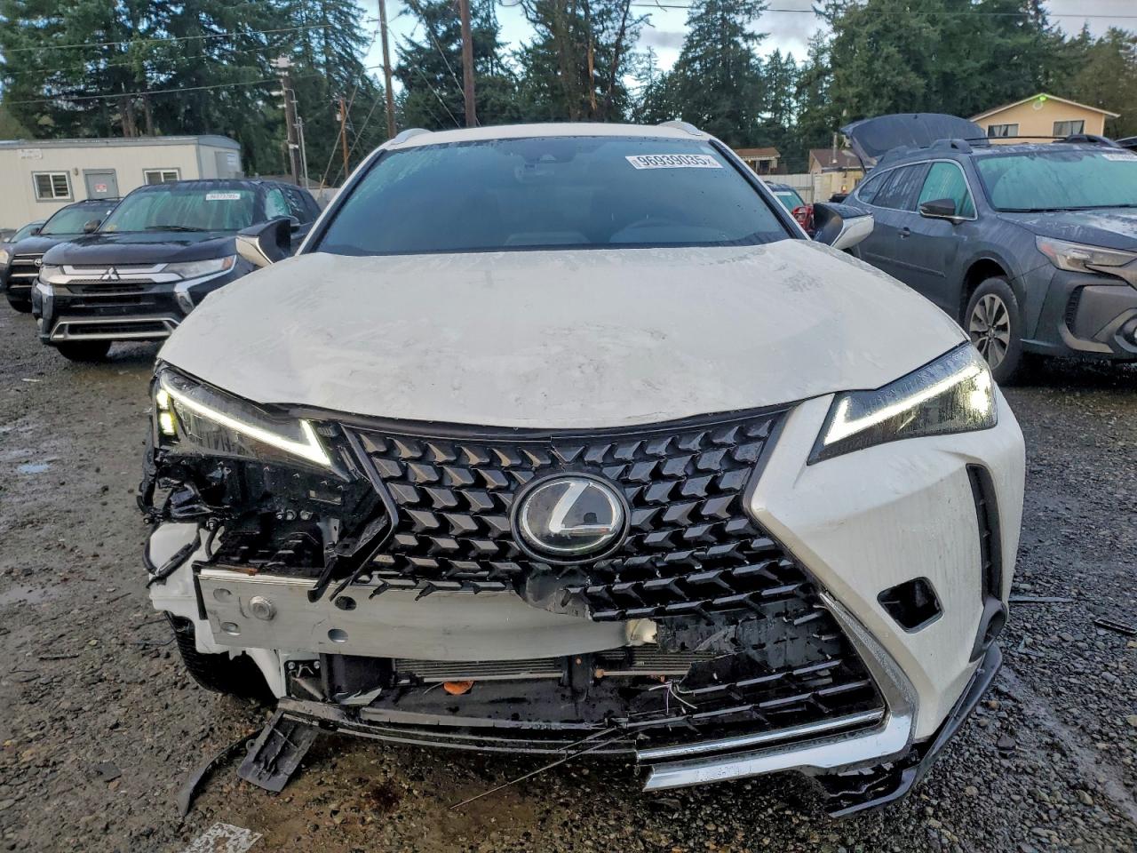 2024 LEXUS UX 250H PREMIUM photo 5
