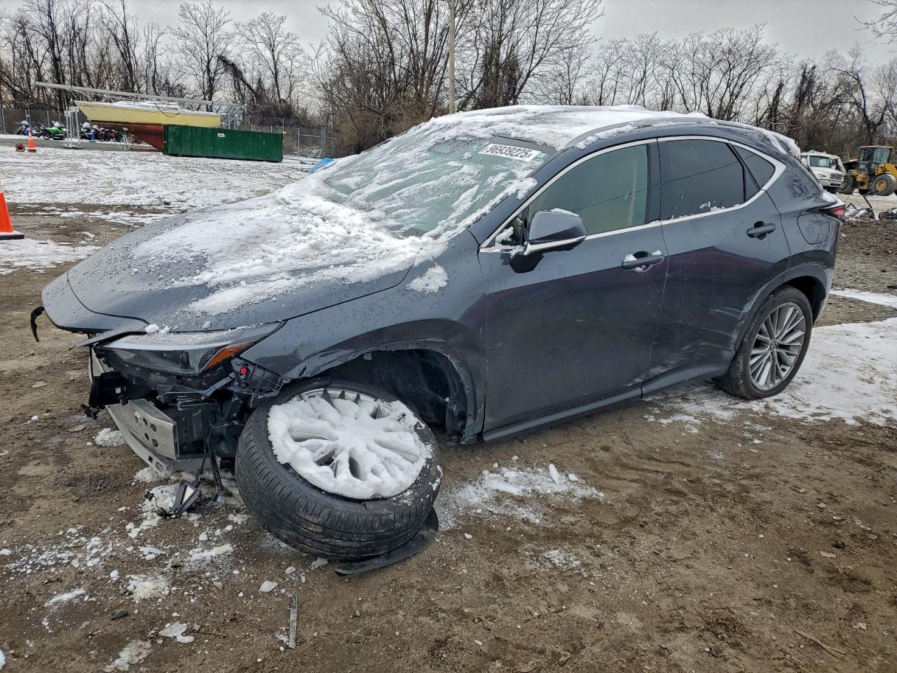 2024 LEXUS NX