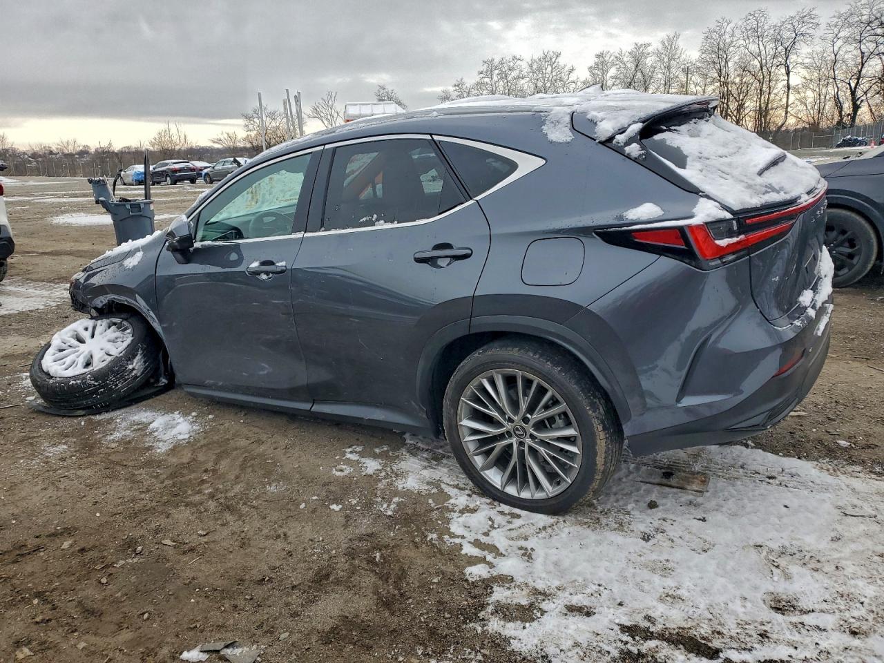 2024 LEXUS NX 350 LUXURY photo 4