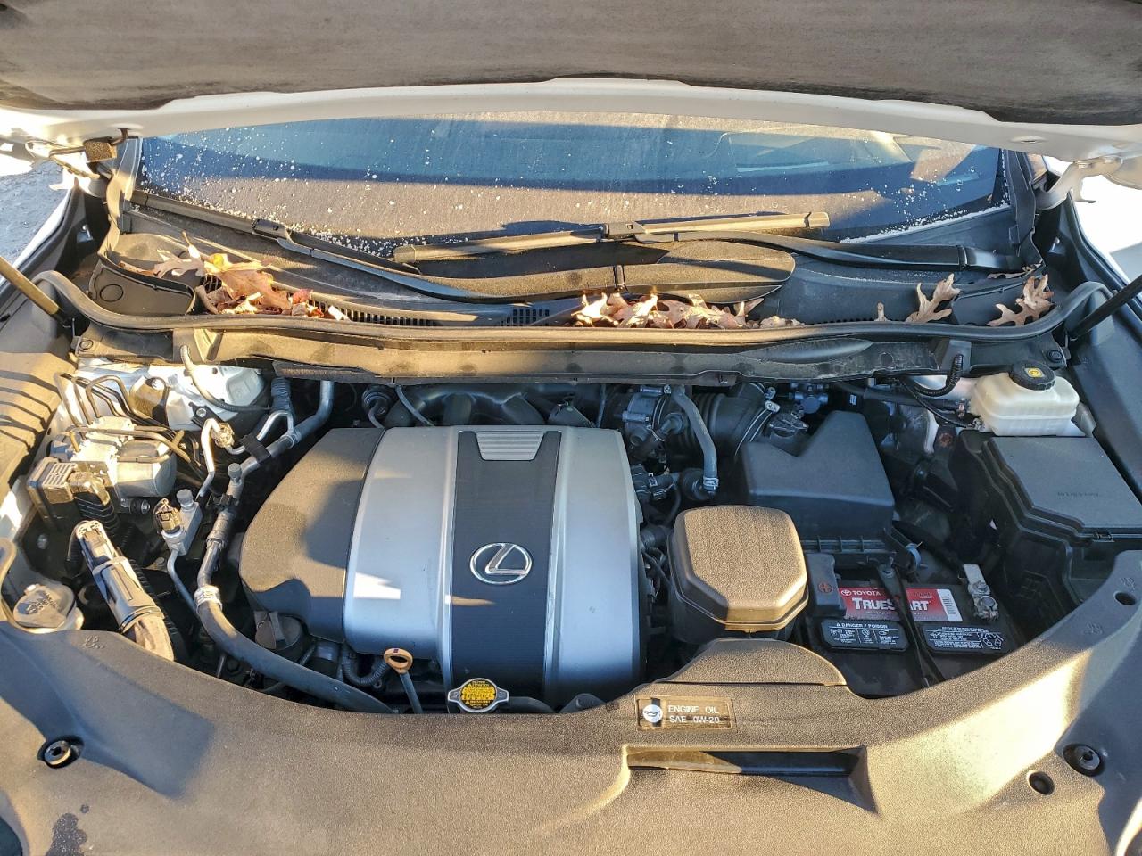 2017 LEXUS RX 350 BASE photo 12