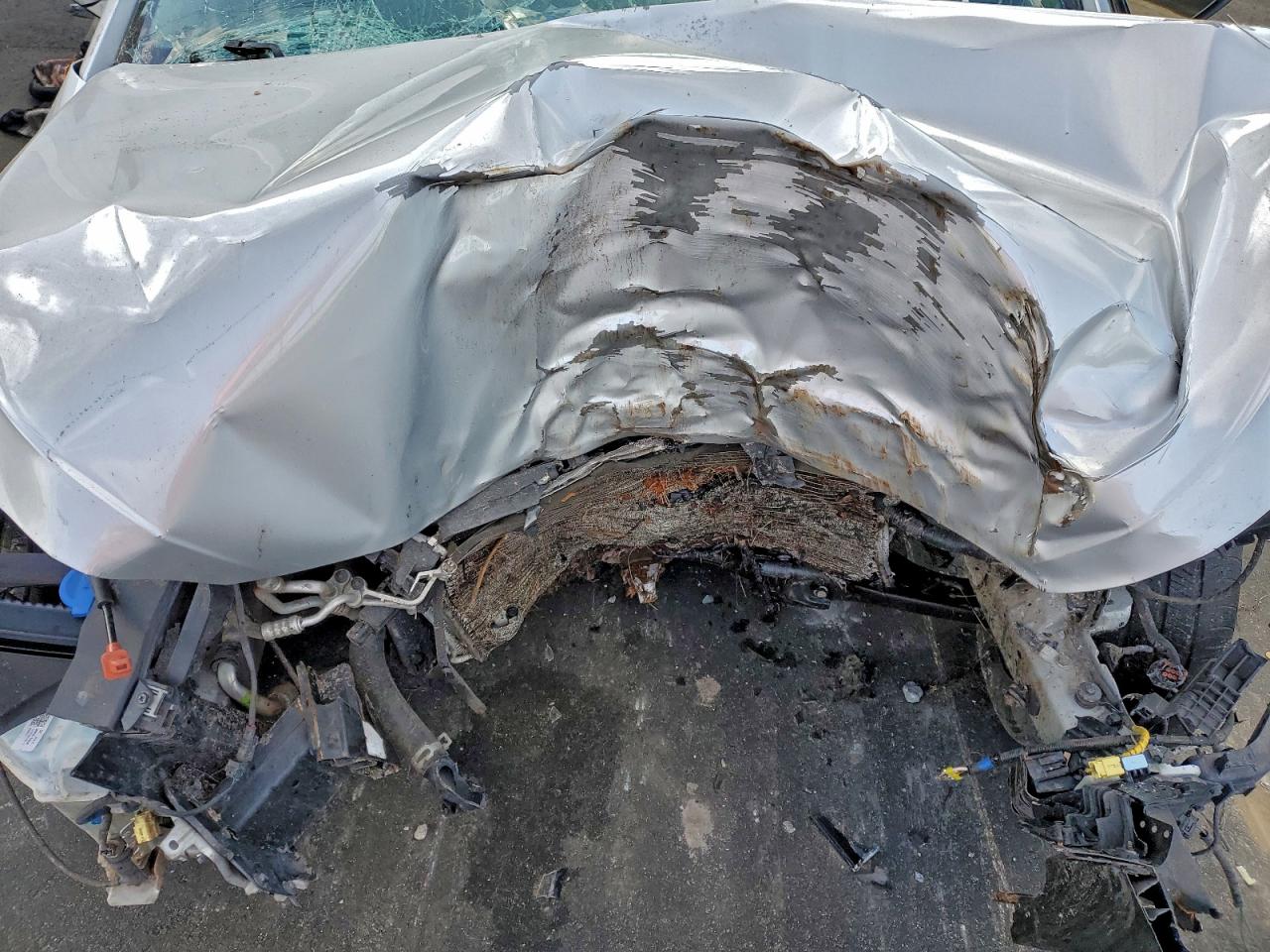 2019 HYUNDAI ELANTRA SEL photo 11