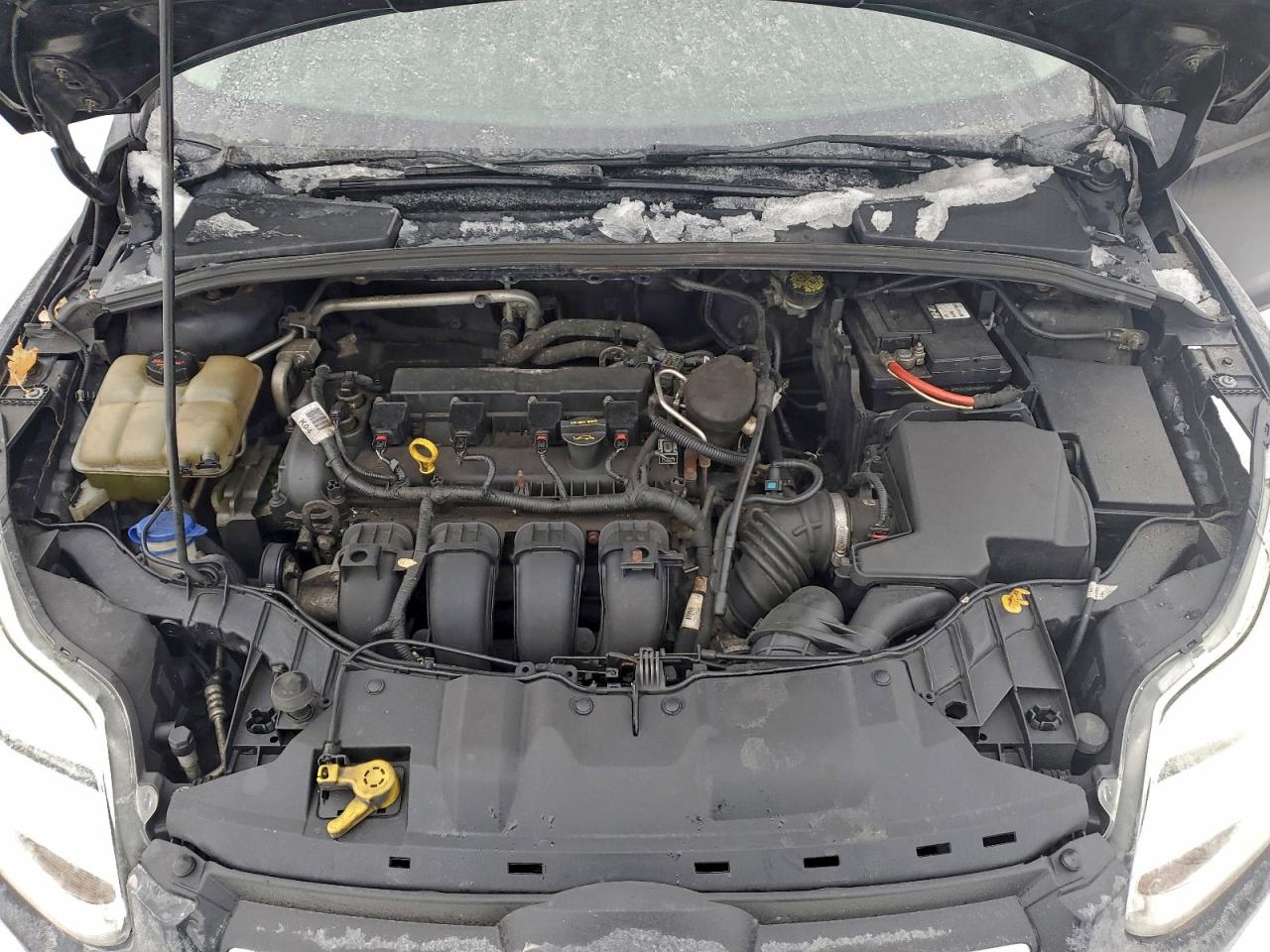2014 FORD FOCUS SE photo 11