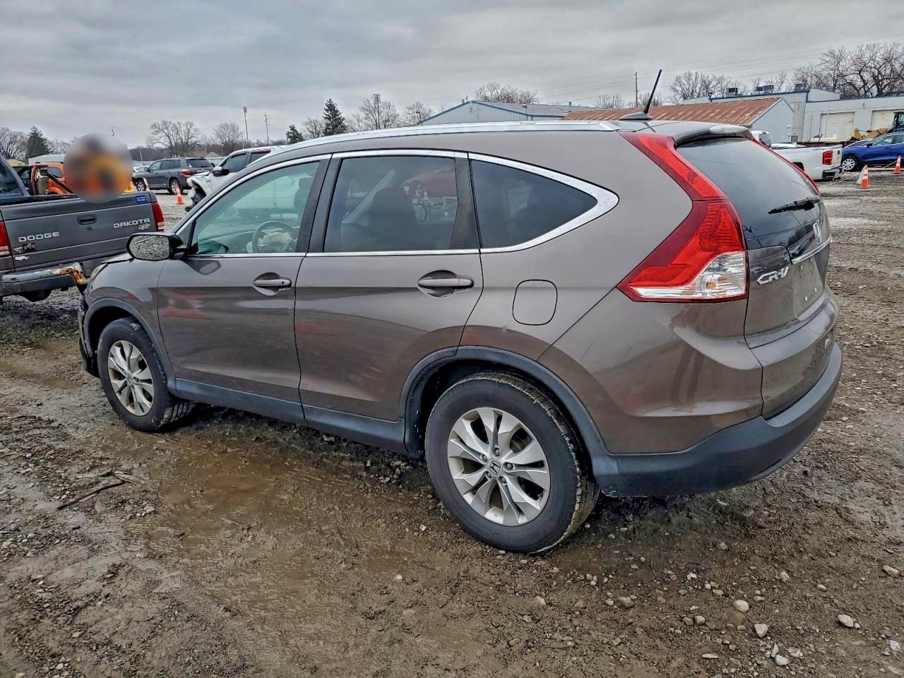 2014 HONDA CR-V EXL photo 4