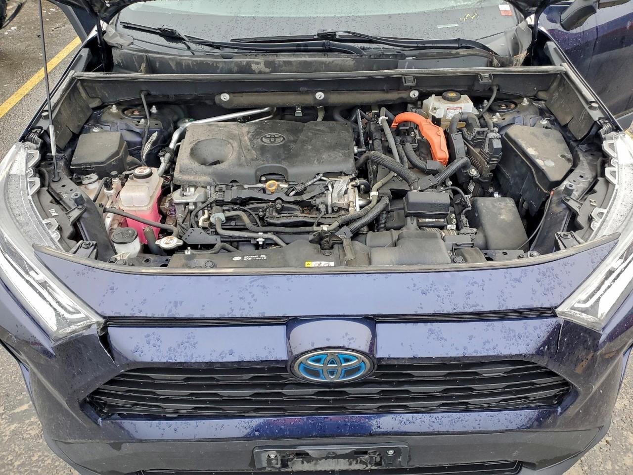 2019 TOYOTA RAV4 XLE photo 23