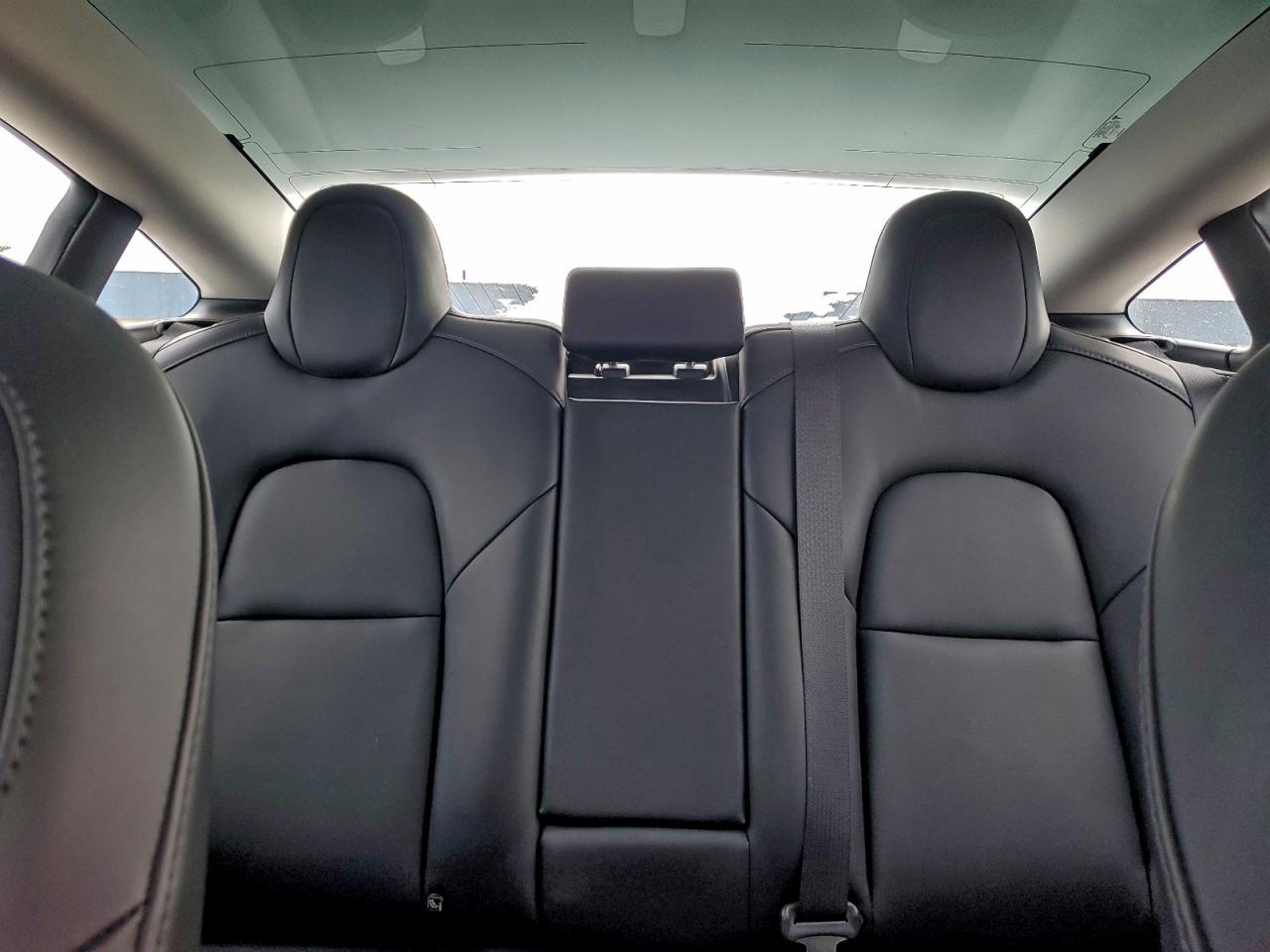 2020 TESLA MODEL 3 photo 10