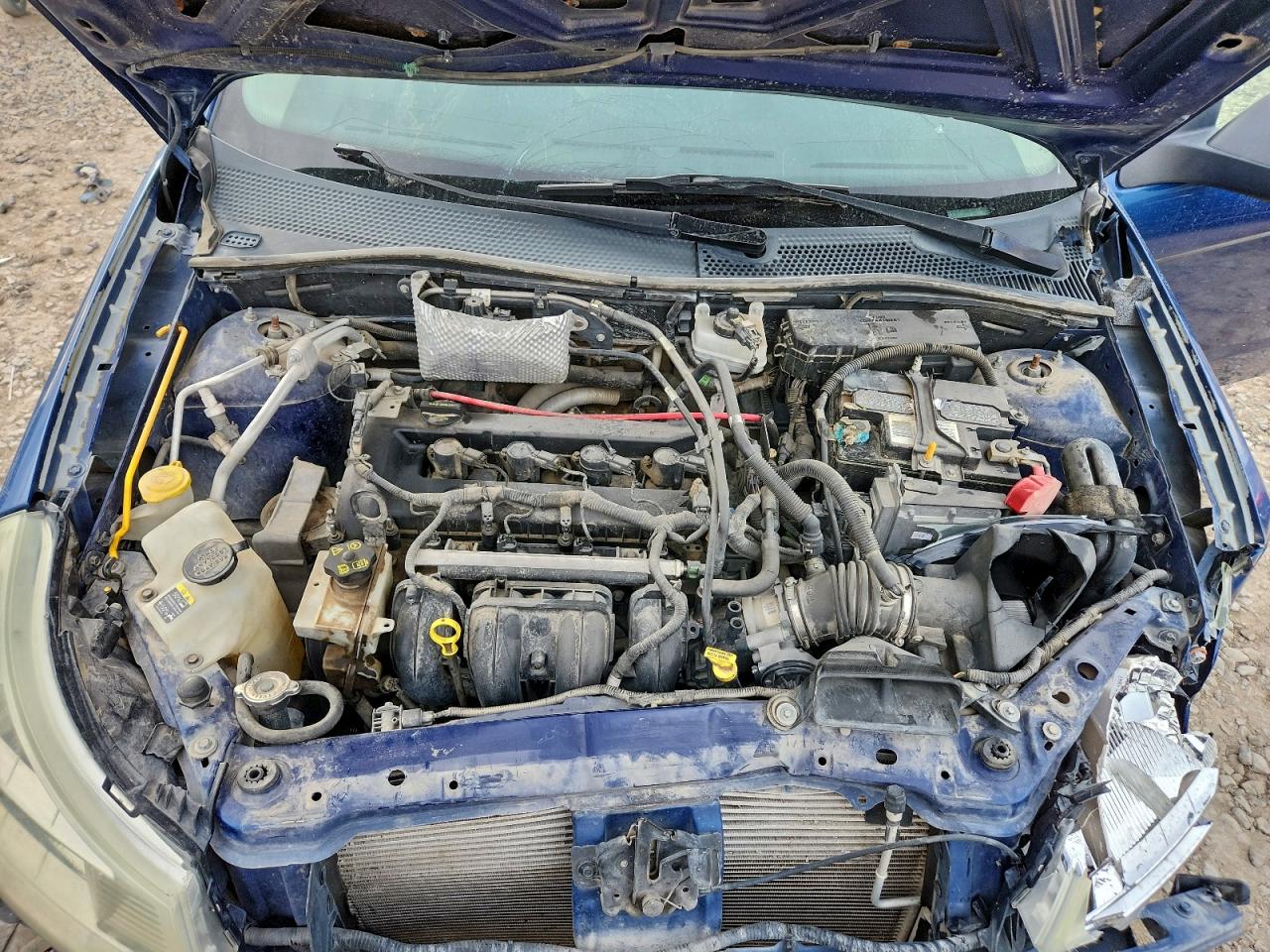 2008 FORD FOCUS SE photo 11
