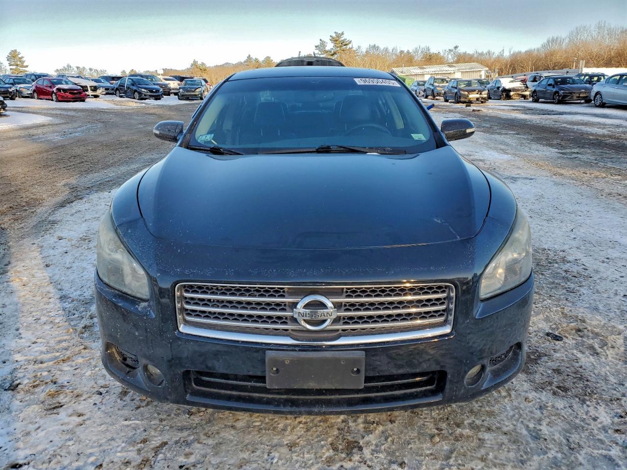 2010 NISSAN MAXIMA S photo 5