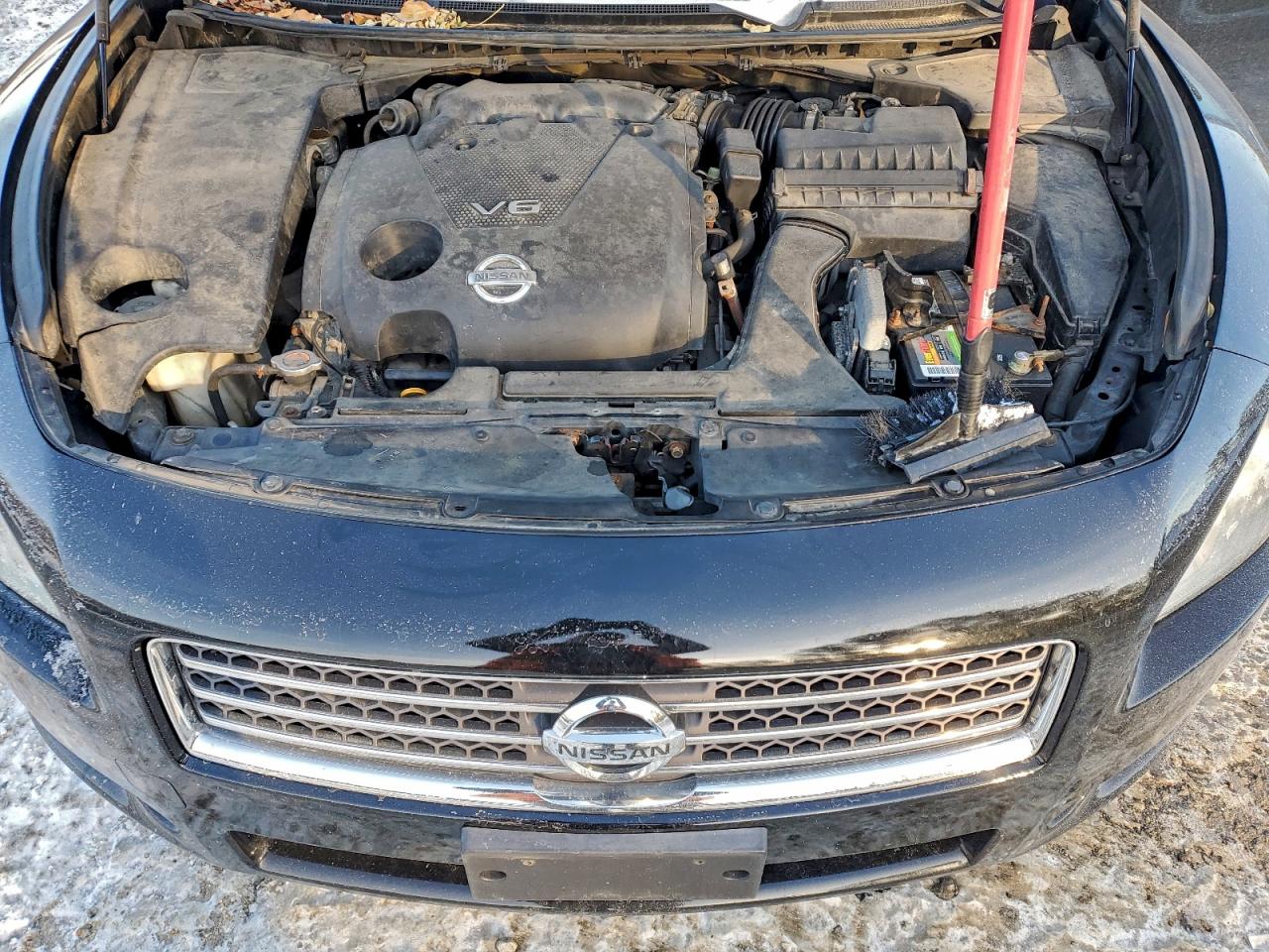 2010 NISSAN MAXIMA S photo 11