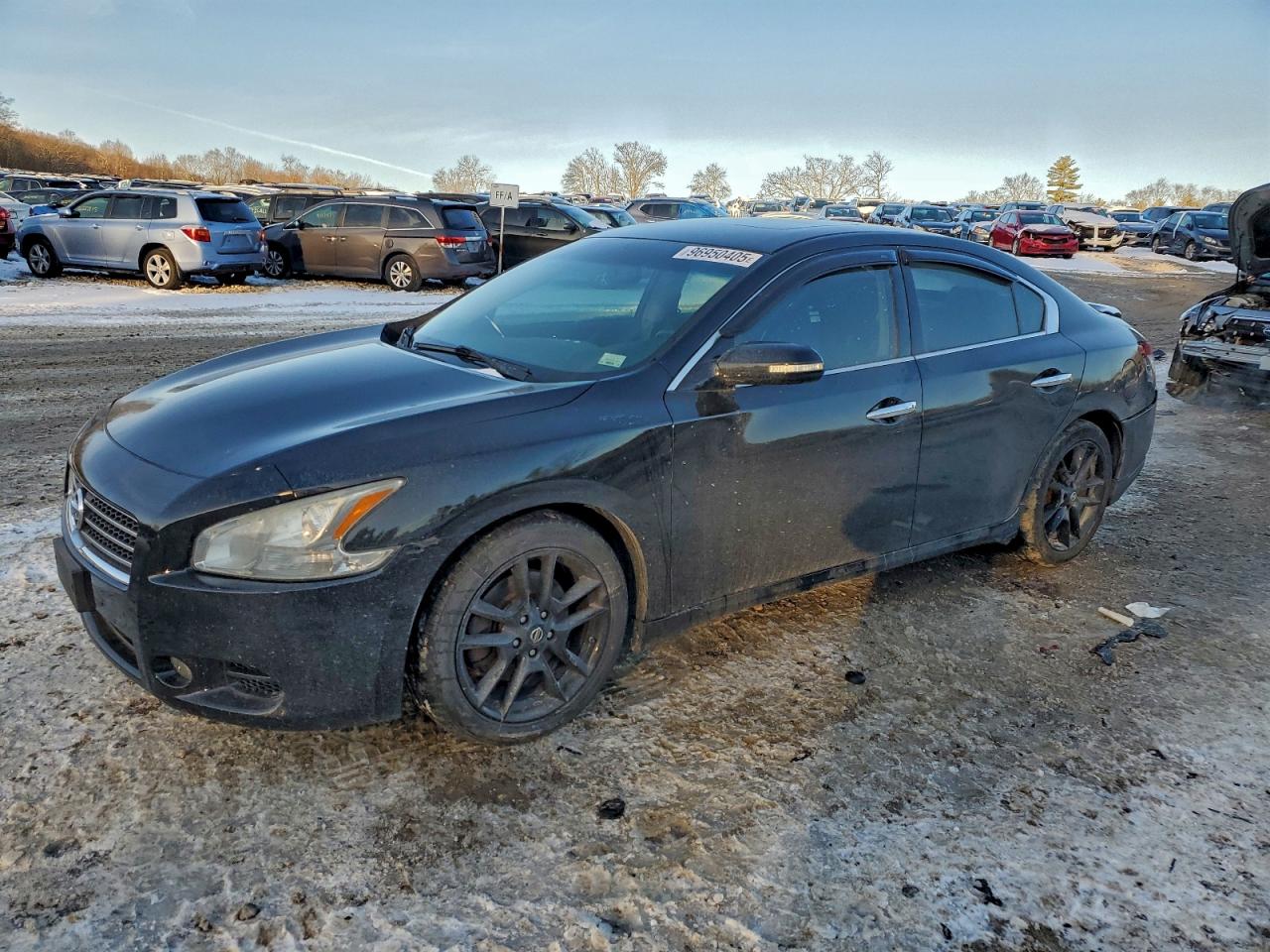 2010 NISSAN MAXIMA