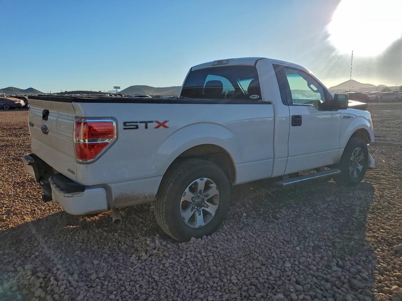 2013 FORD F150 photo 3