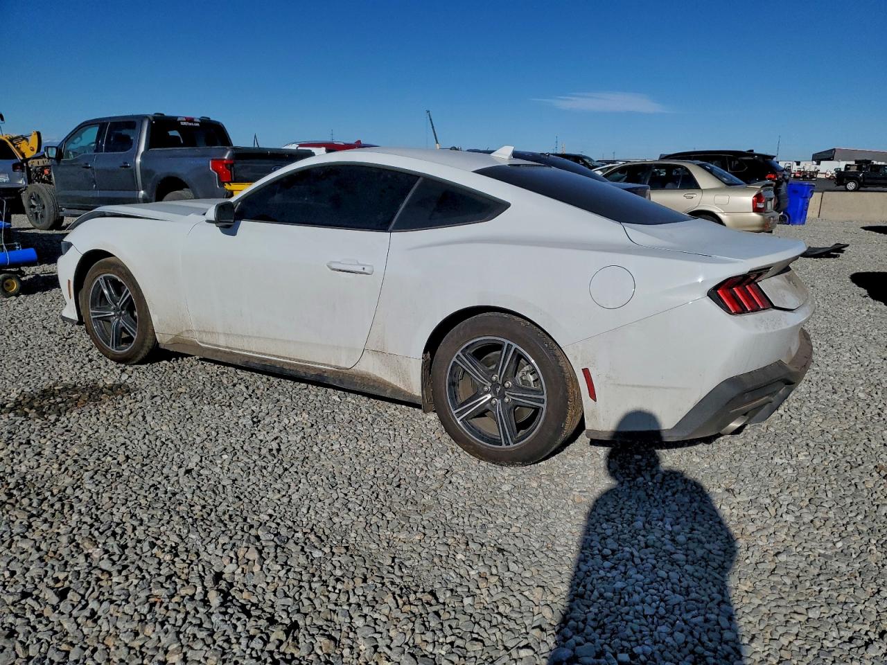 2025 FORD MUSTANG photo 3