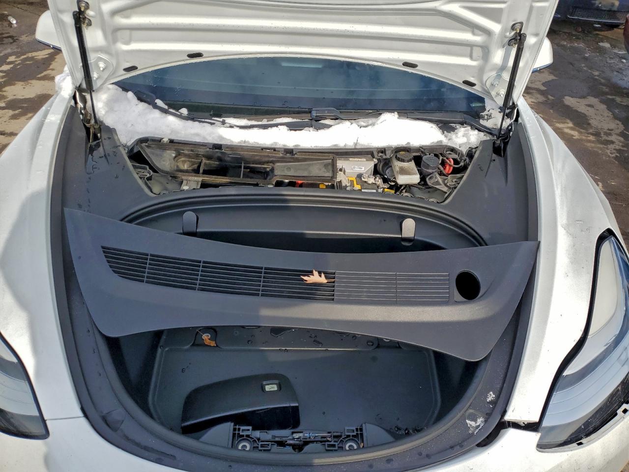 2019 TESLA MODEL 3 photo 21