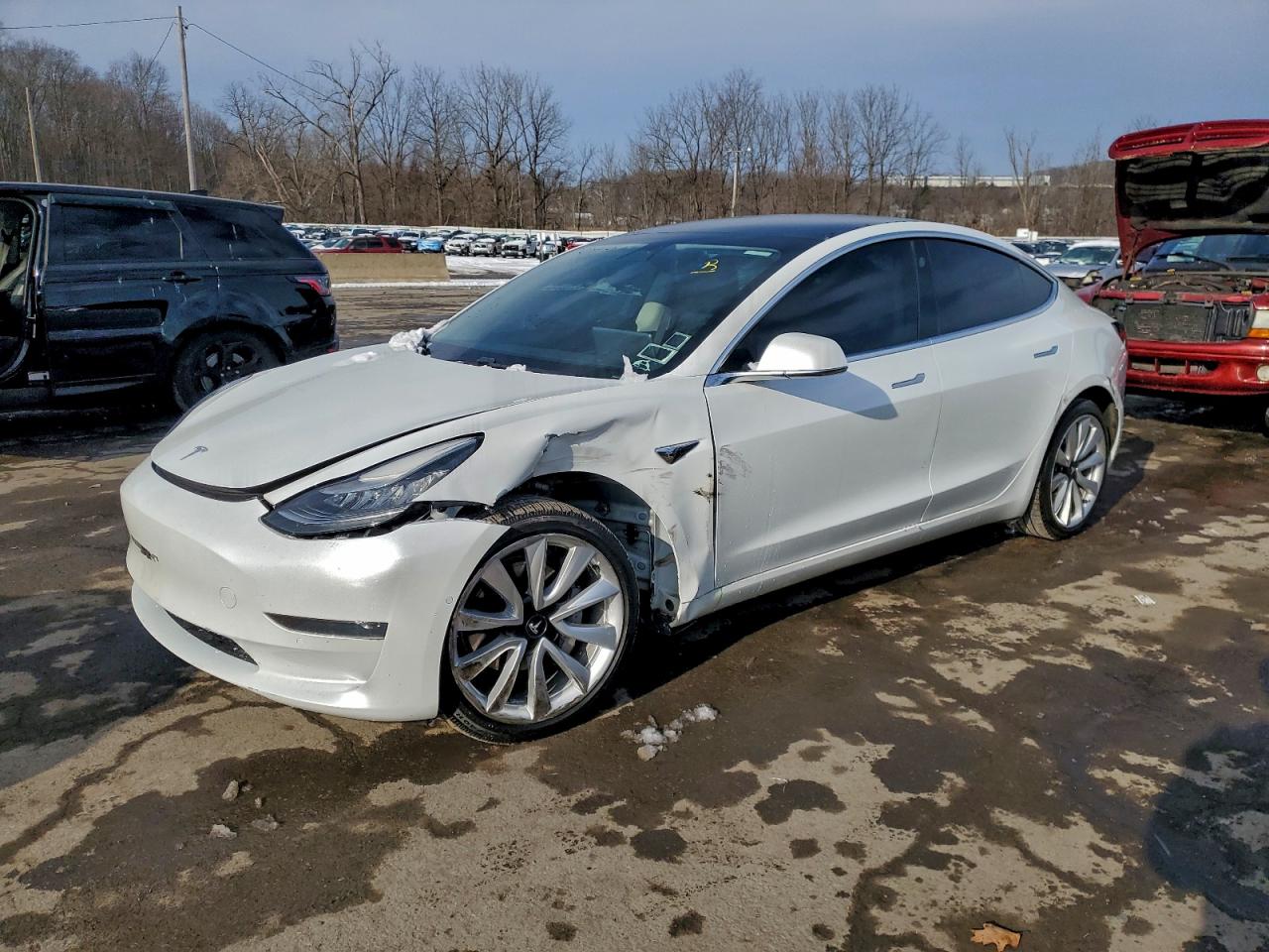 2019 TESLA MODEL 3