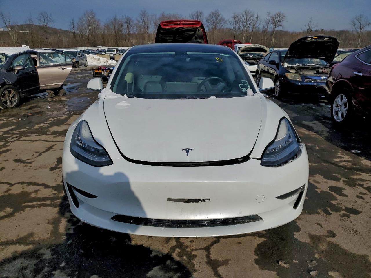 2019 TESLA MODEL 3 photo 9