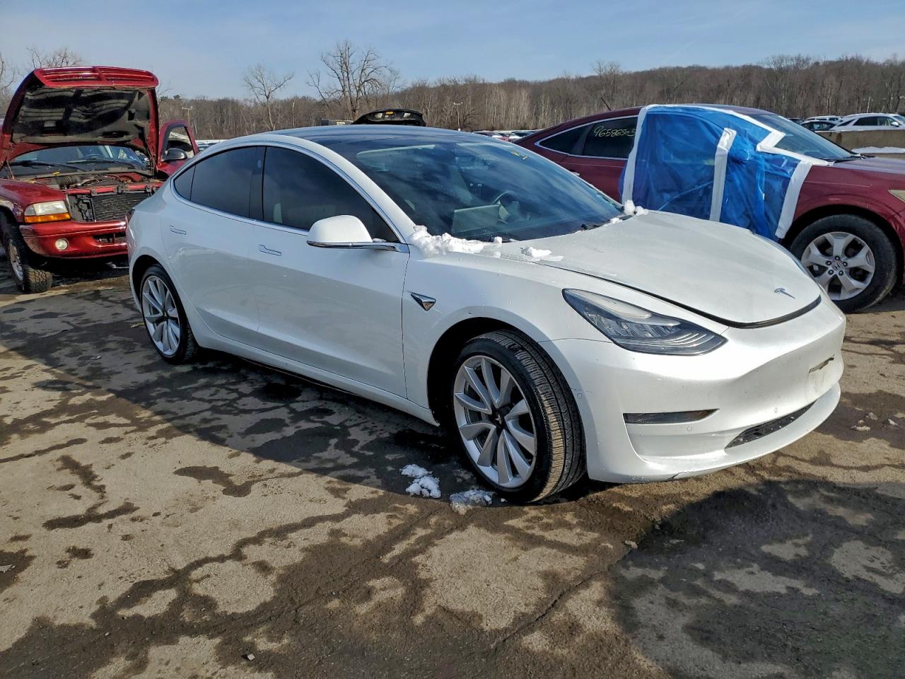 2019 TESLA MODEL 3 photo 7