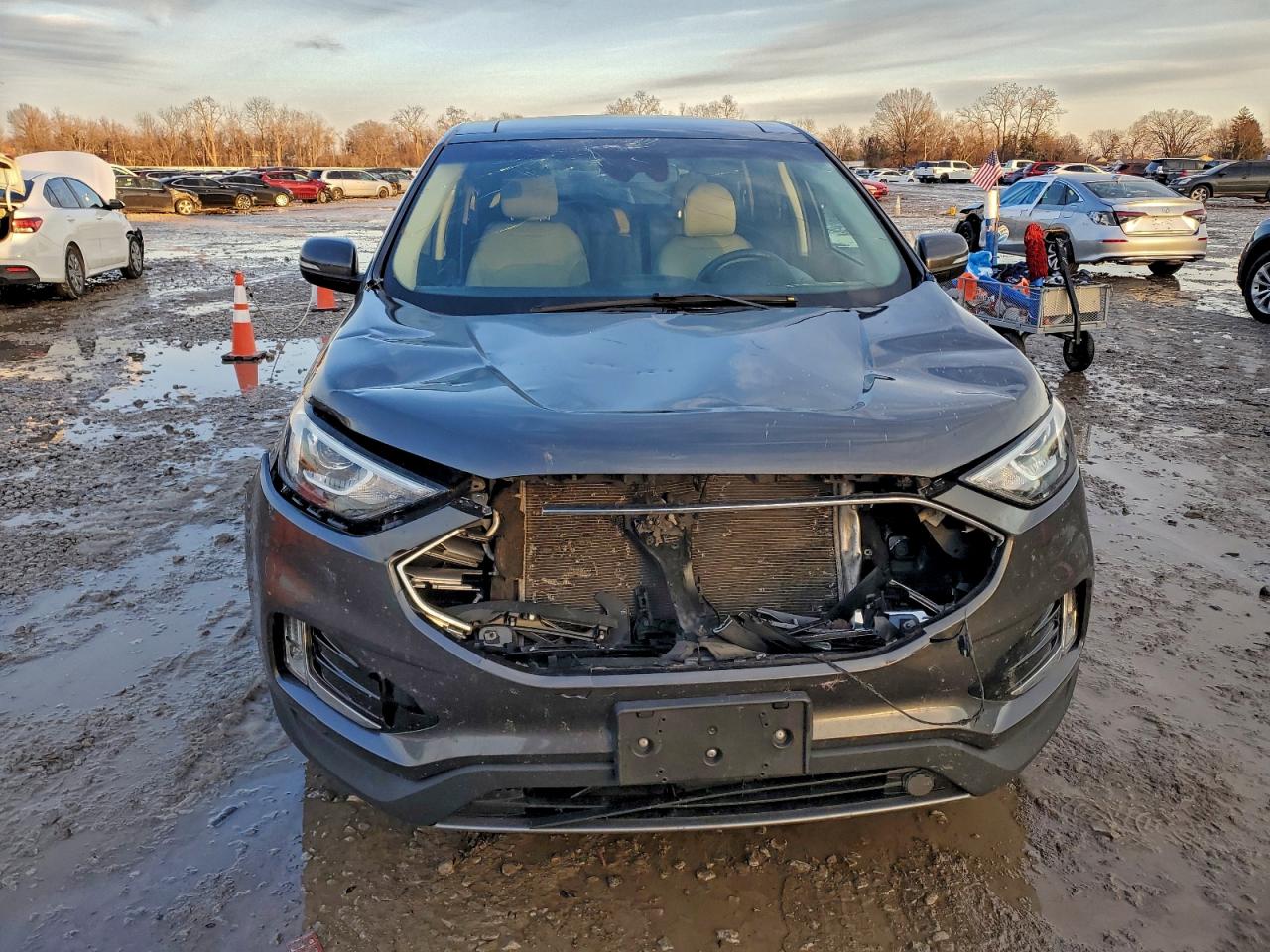 2019 FORD EDGE SEL photo 13