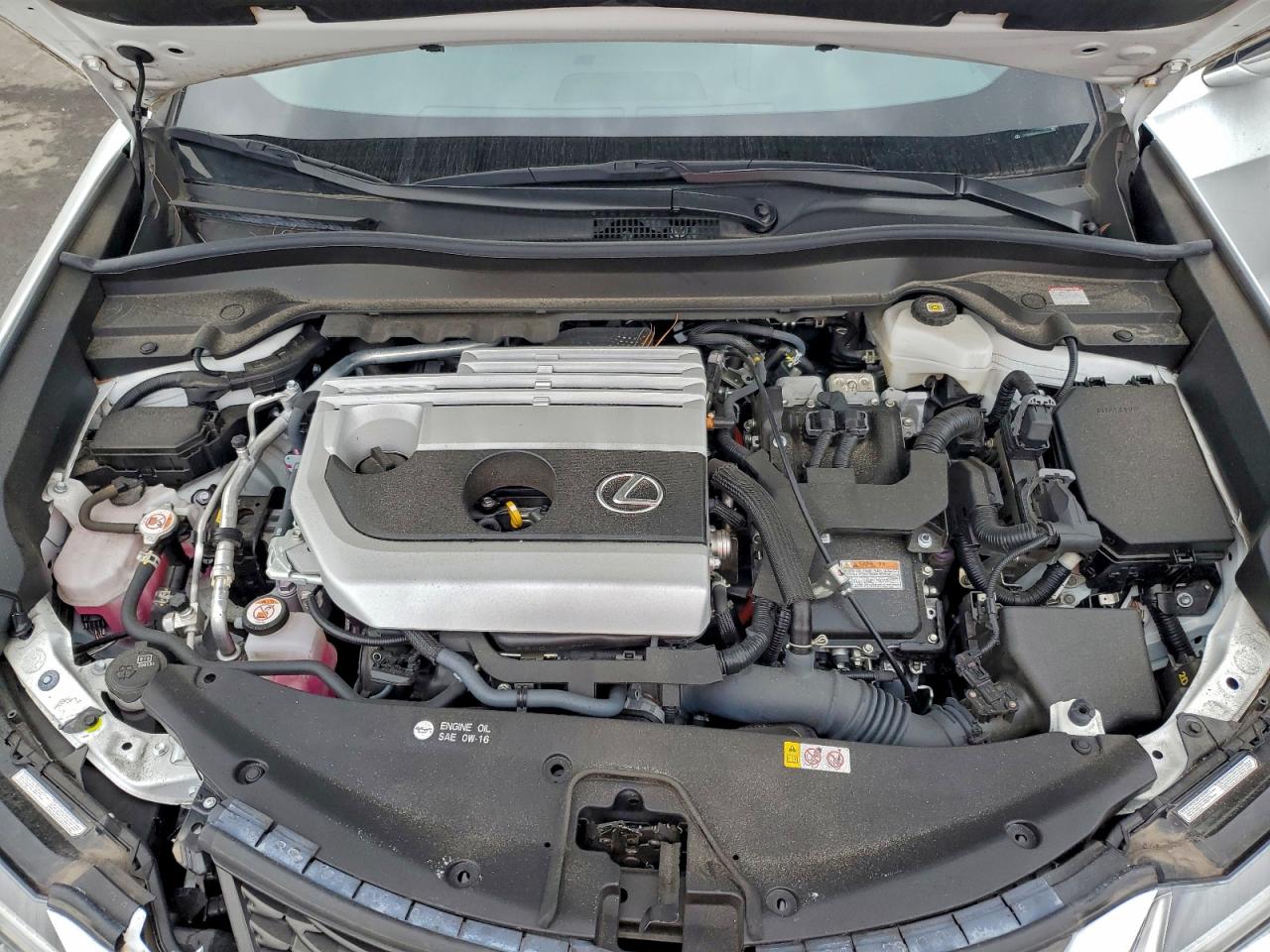 2024 LEXUS UX 250H PREMIUM photo 12