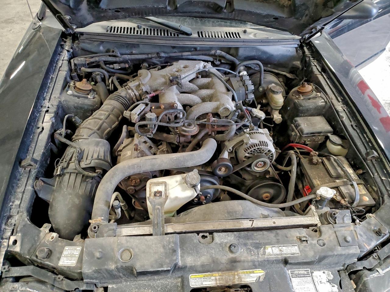 2000 FORD MUSTANG photo 11