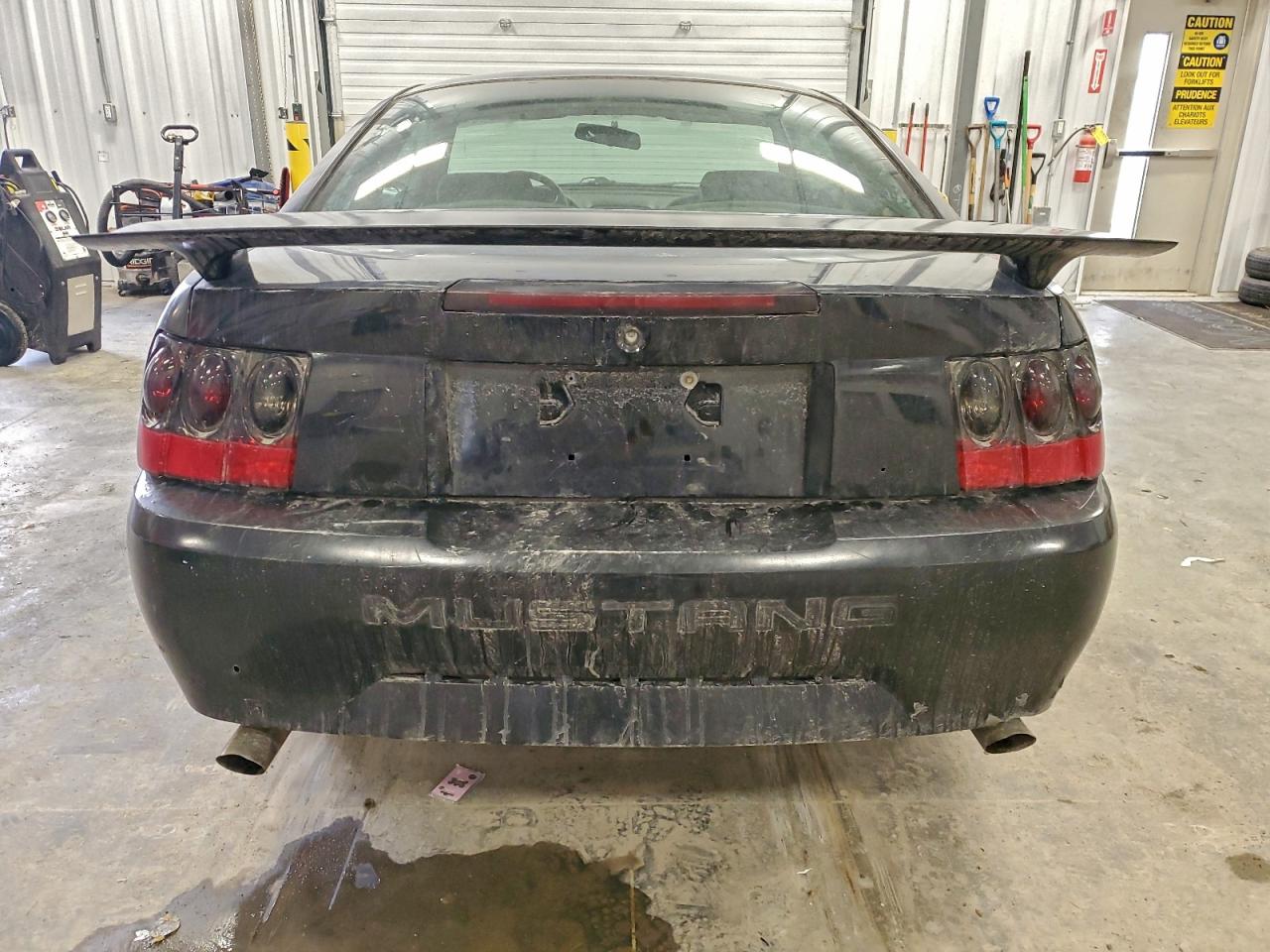 2000 FORD MUSTANG photo 6