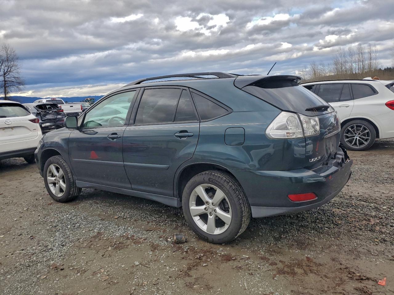 2006 LEXUS RX 330 photo 2