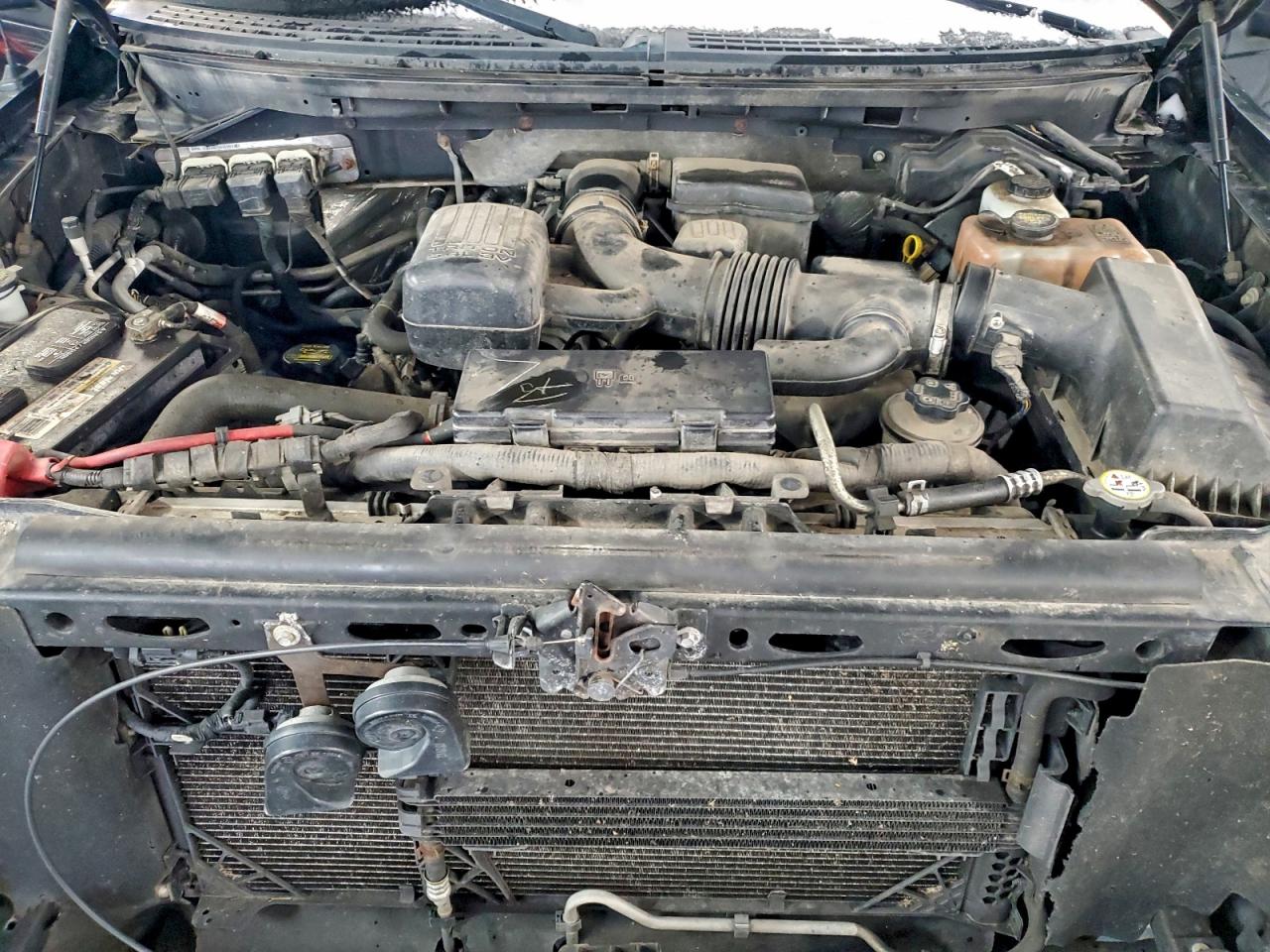 2010 FORD F150 SUPERCREW photo 11