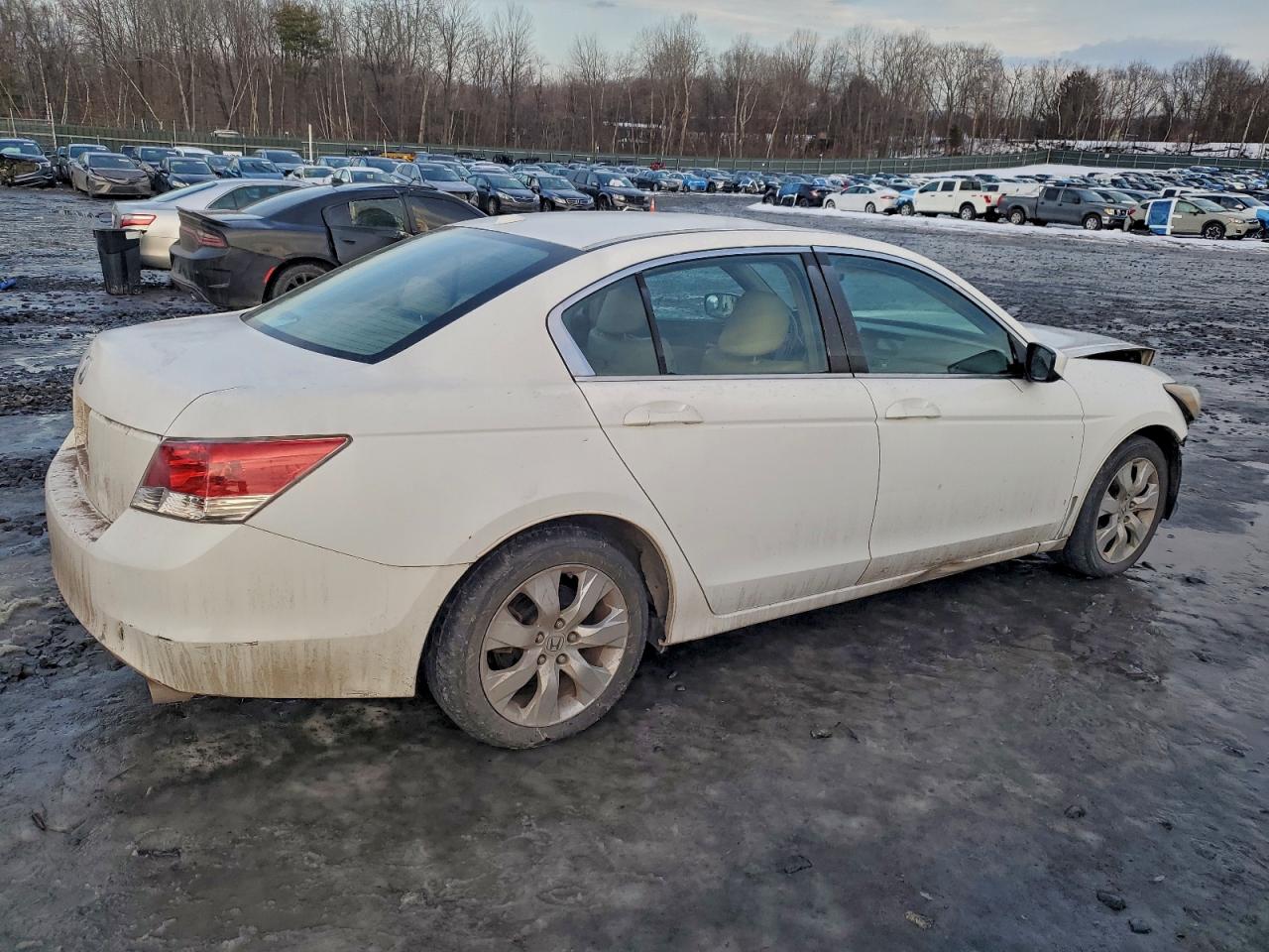 2009 HONDA ACCORD EXL photo 5