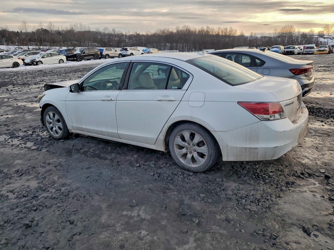2009 HONDA ACCORD EXL photo 3