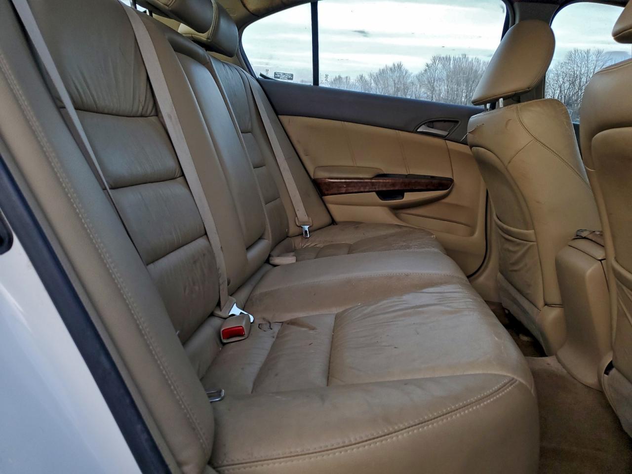 2009 HONDA ACCORD EXL photo 19