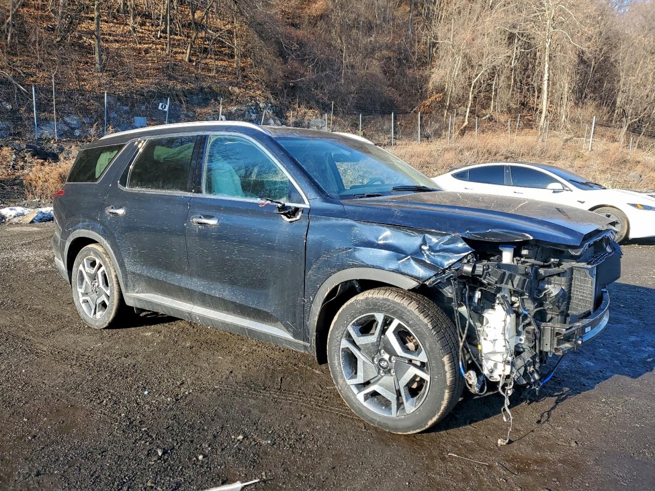 2024 HYUNDAI PALISADE LIMITED photo 10