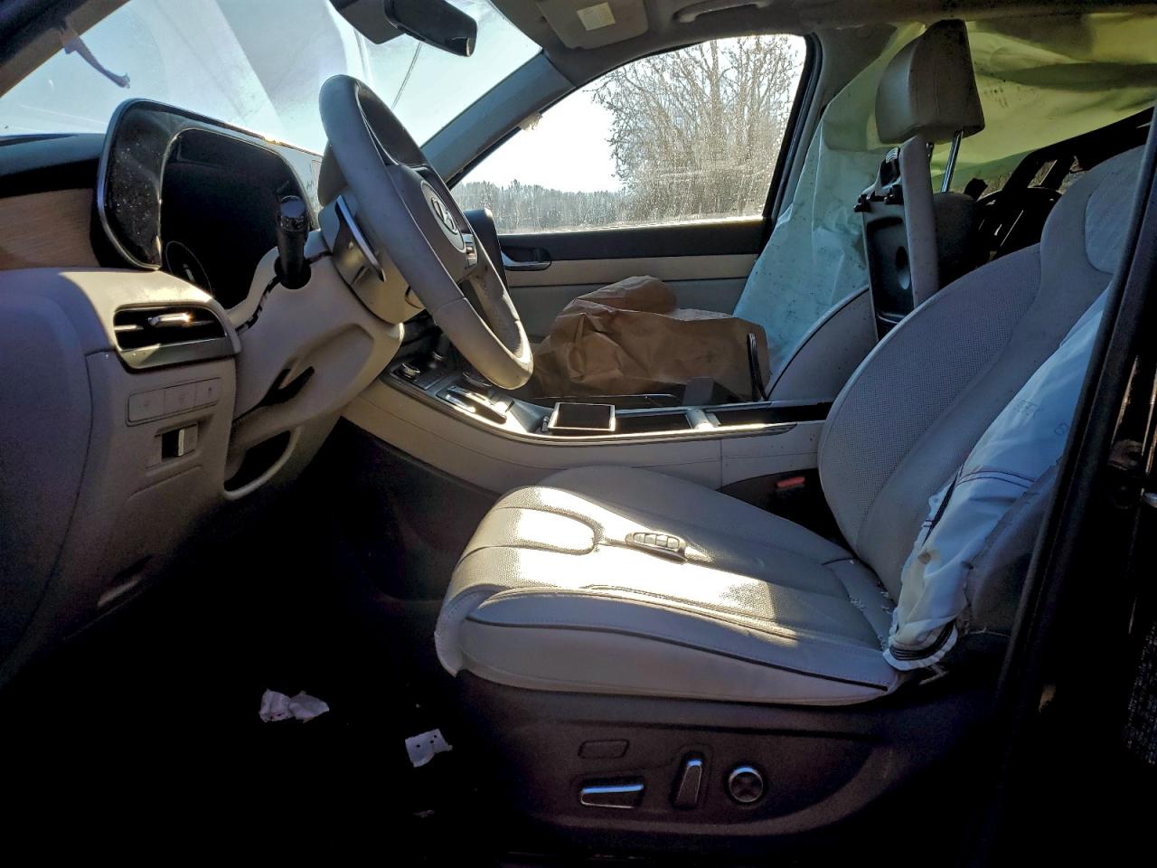 2024 HYUNDAI PALISADE LIMITED photo 19