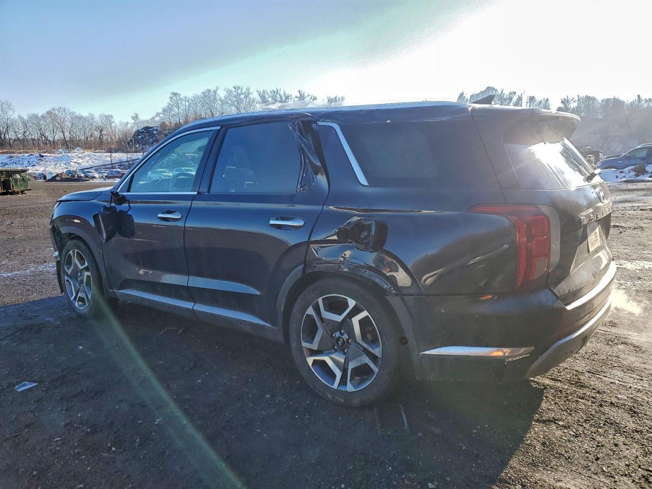 2024 HYUNDAI PALISADE LIMITED photo 4
