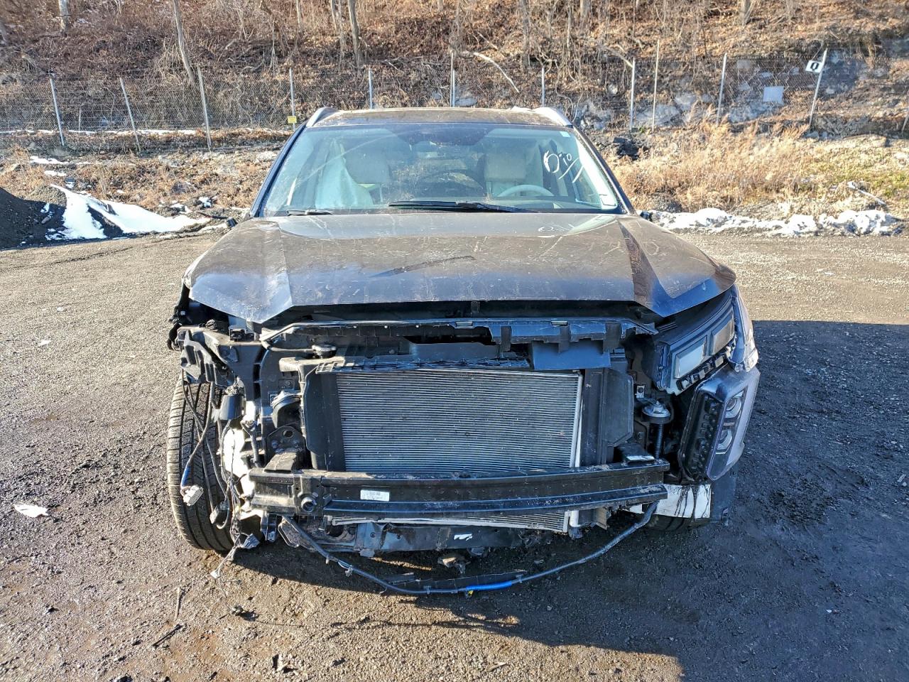 2024 HYUNDAI PALISADE LIMITED photo 13