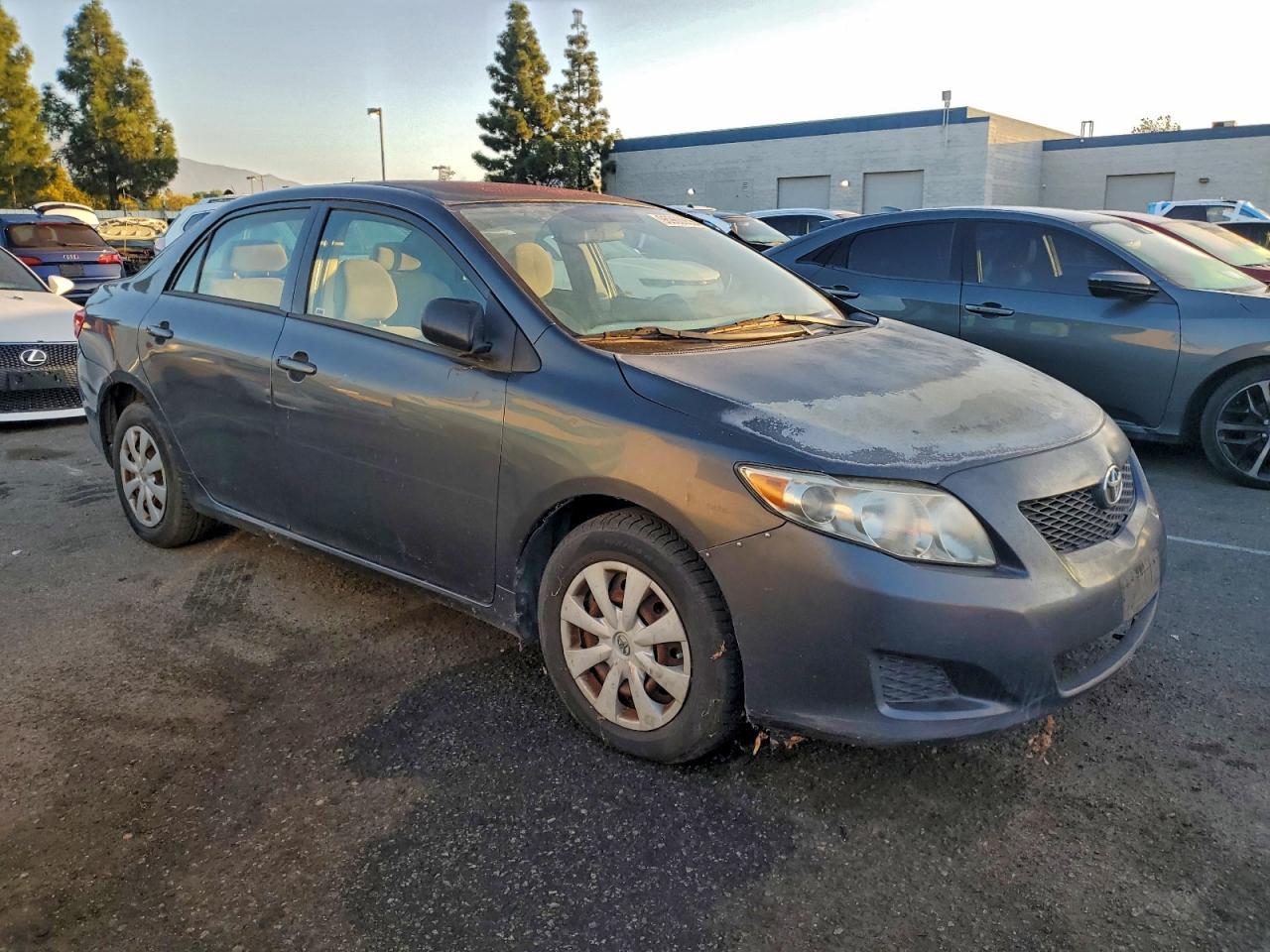 2009 TOYOTA COROLLA BASE photo 10