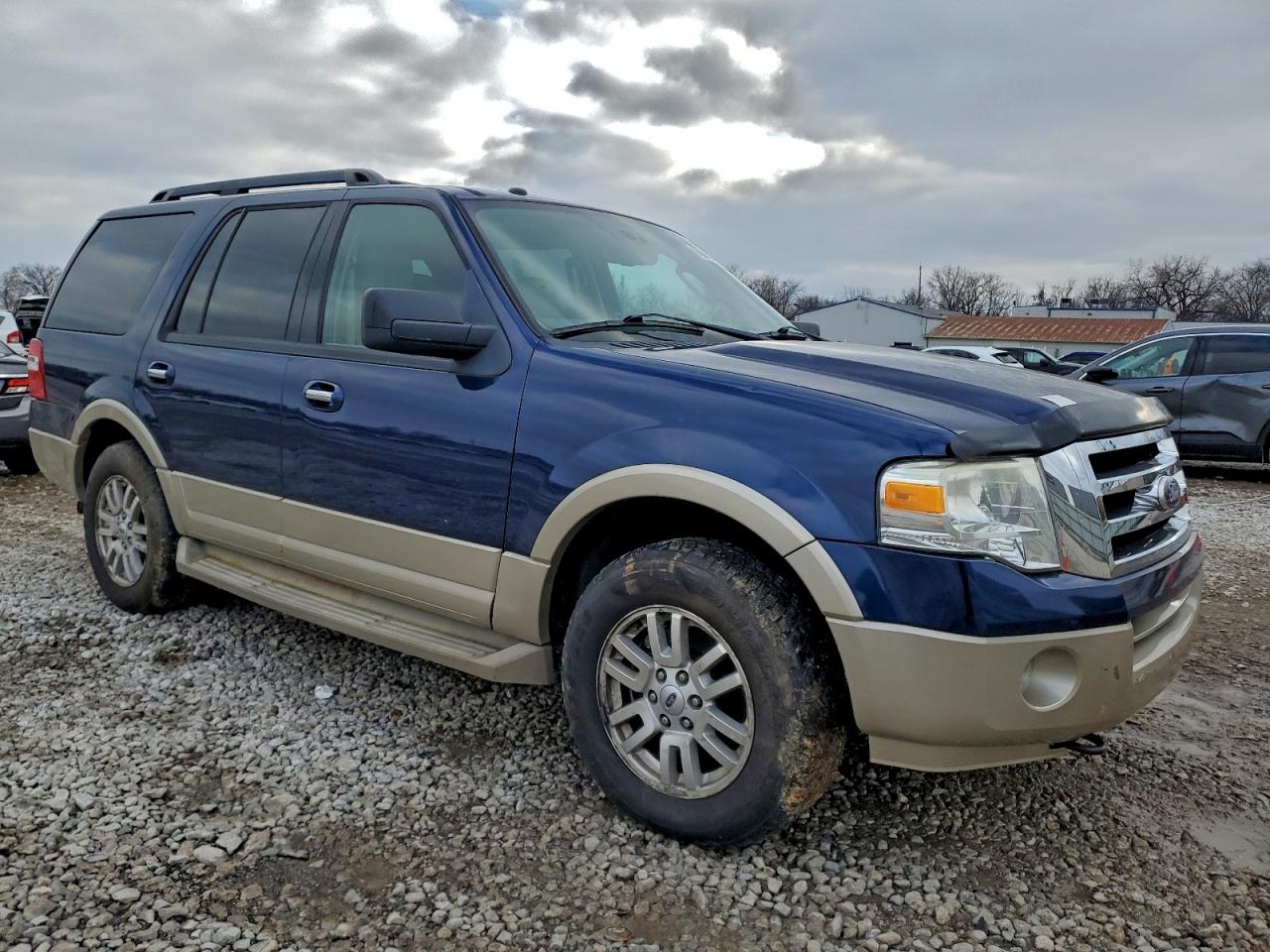 2010 FORD EXPEDITION EDDIE BAUER photo 7