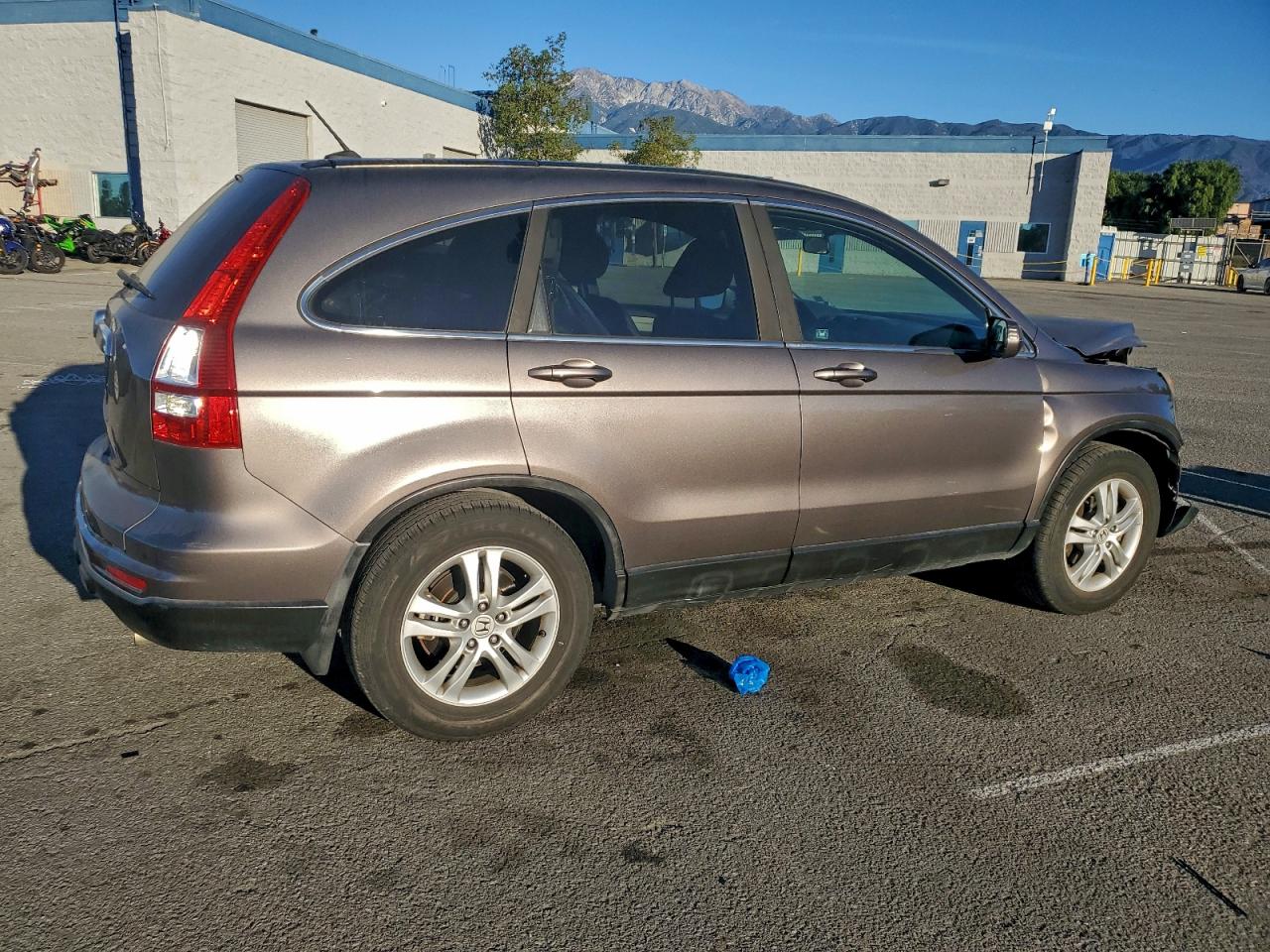 2010 HONDA CR-V EXL photo 7
