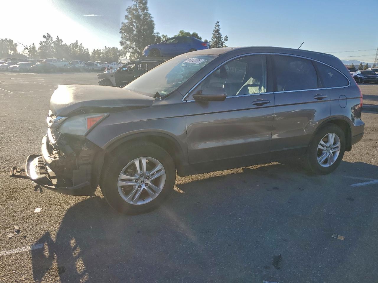 2010 HONDA CR-V