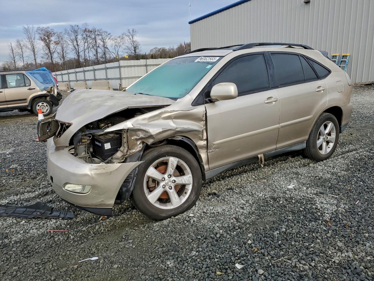 2006 LEXUS RX