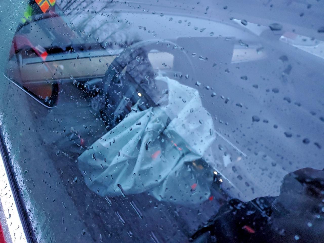 2018 TESLA MODEL 3 photo 15