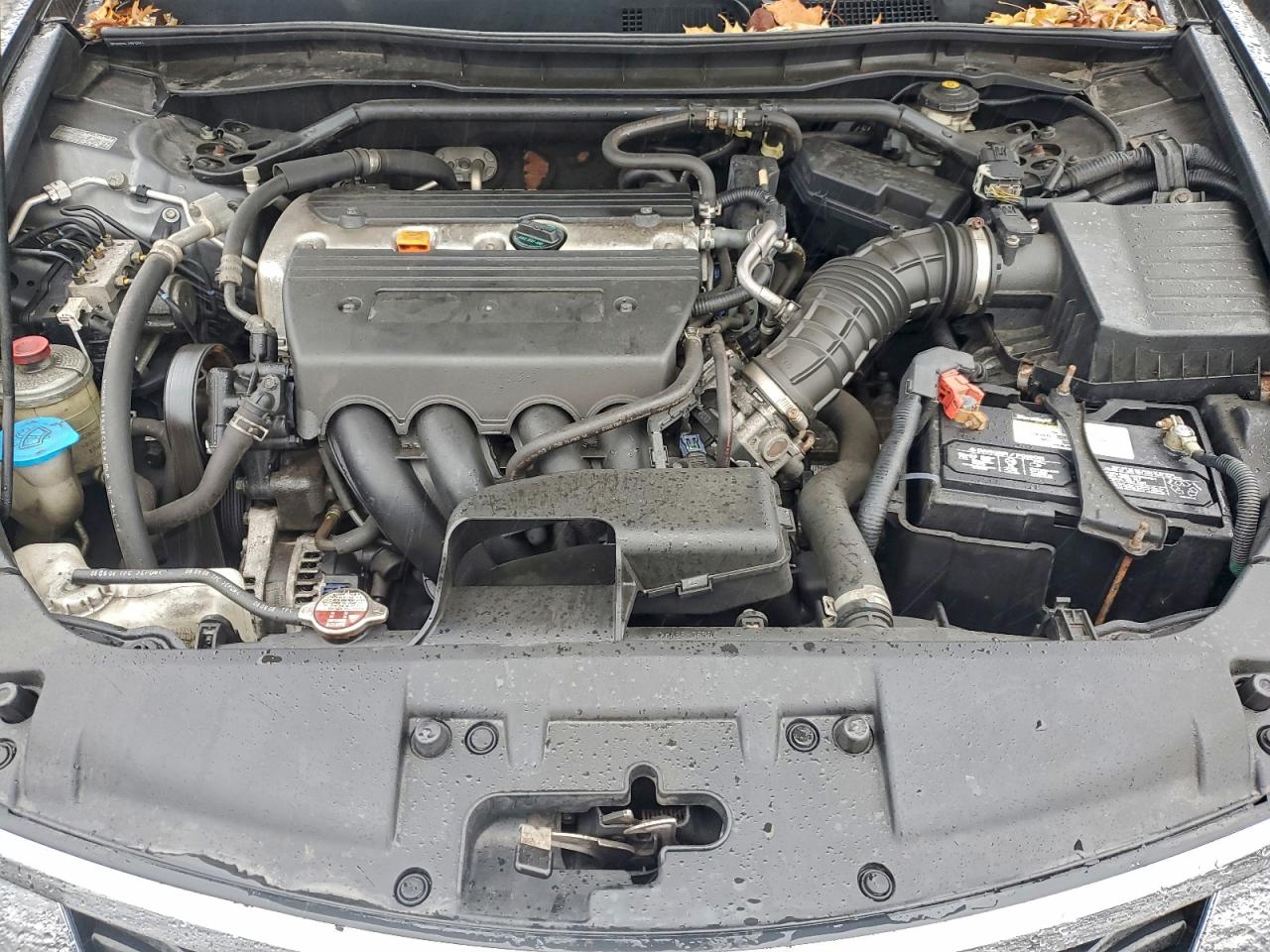 2009 HONDA ACCORD EXL photo 11