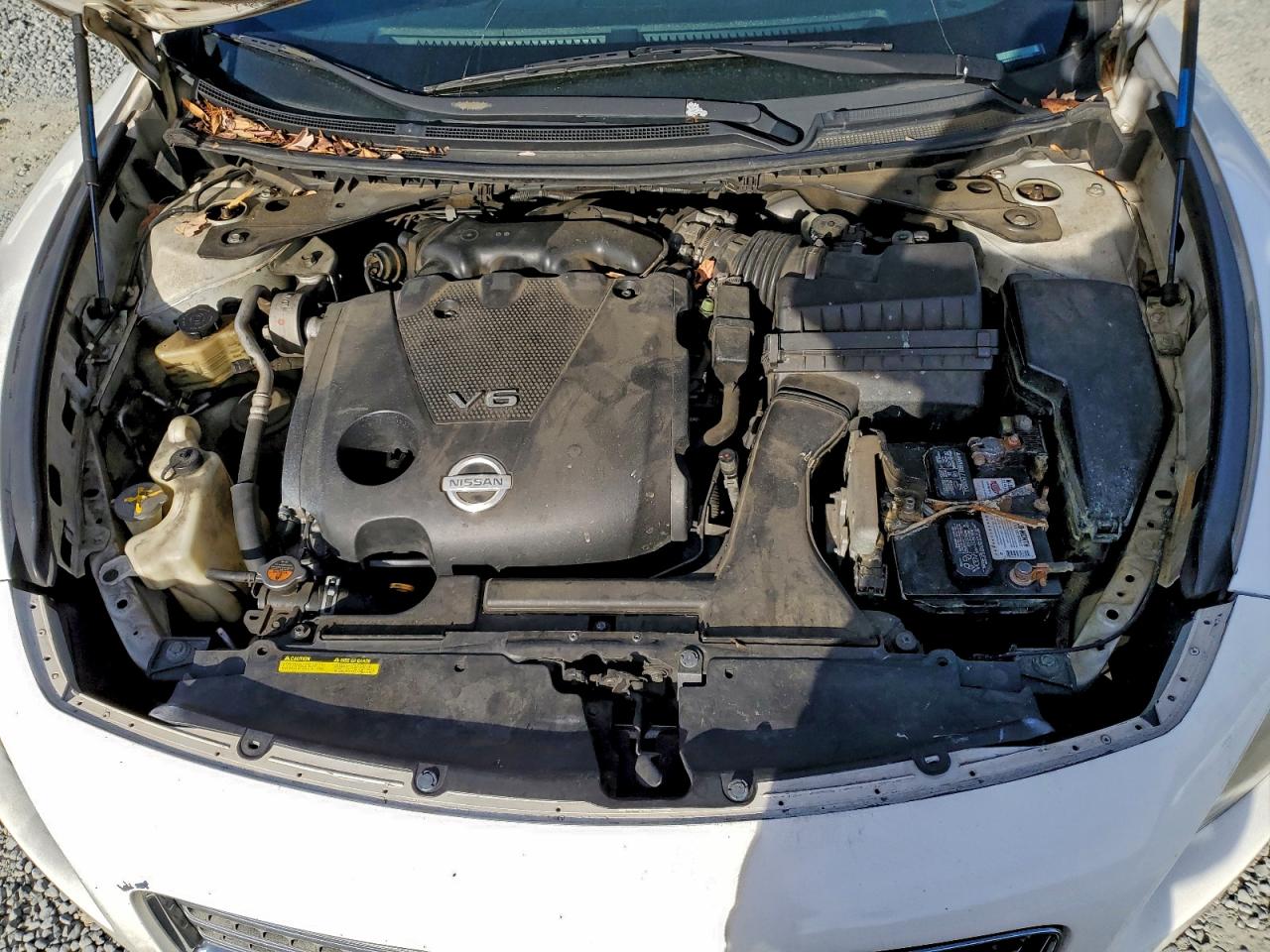 2010 NISSAN MAXIMA S photo 11