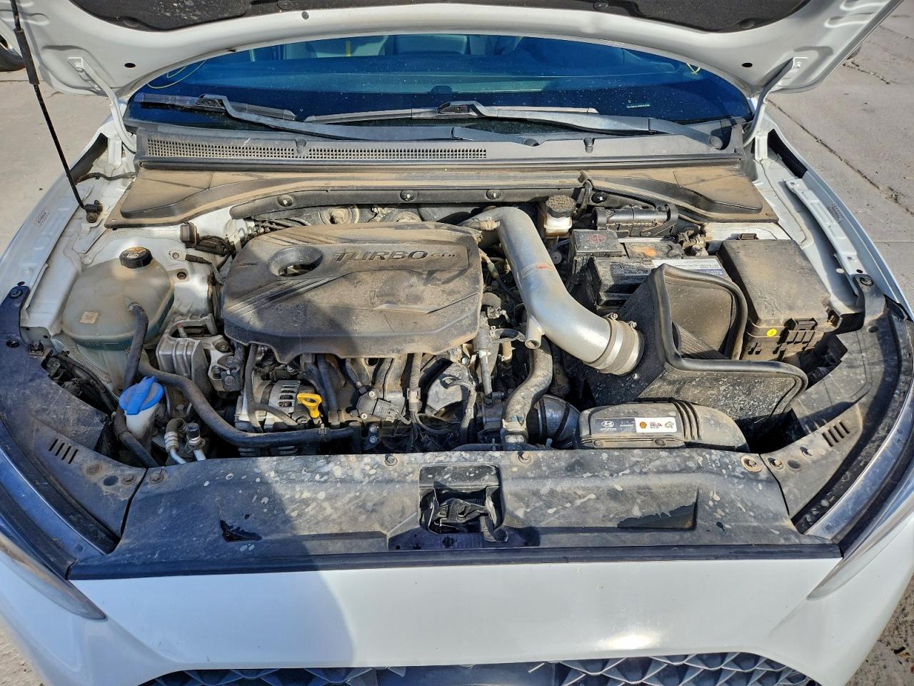2019 HYUNDAI VELOSTER TURBO R-SPEC photo 11