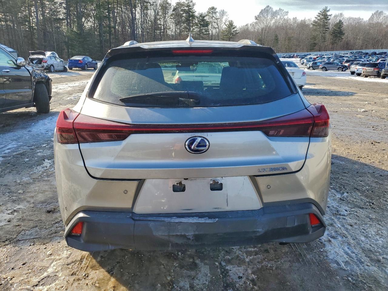 2019 LEXUS UX 250H photo 6
