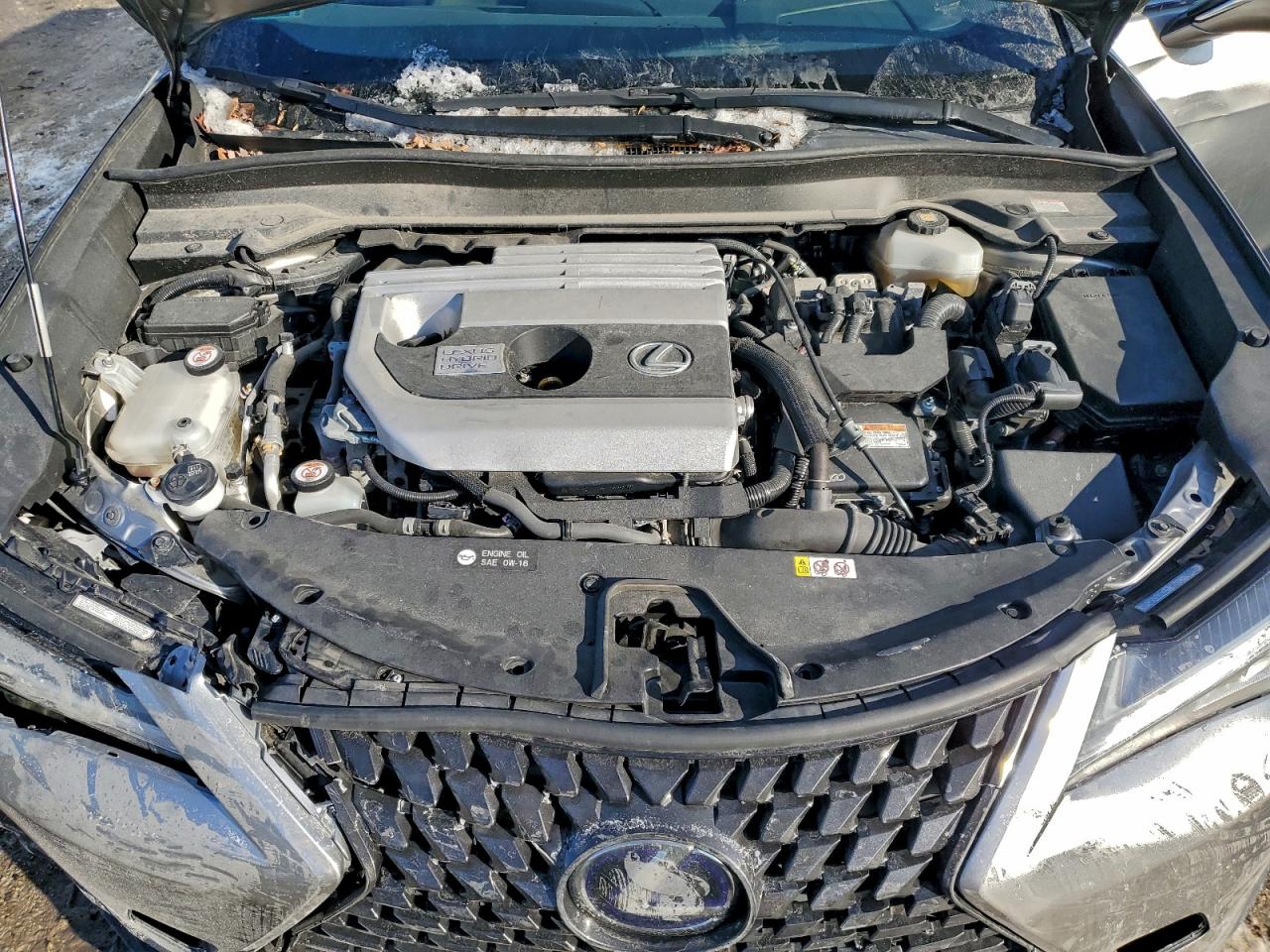 2019 LEXUS UX 250H photo 12
