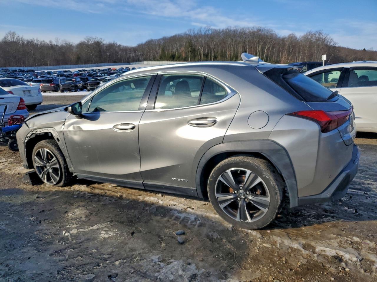 2019 LEXUS UX 250H photo 2