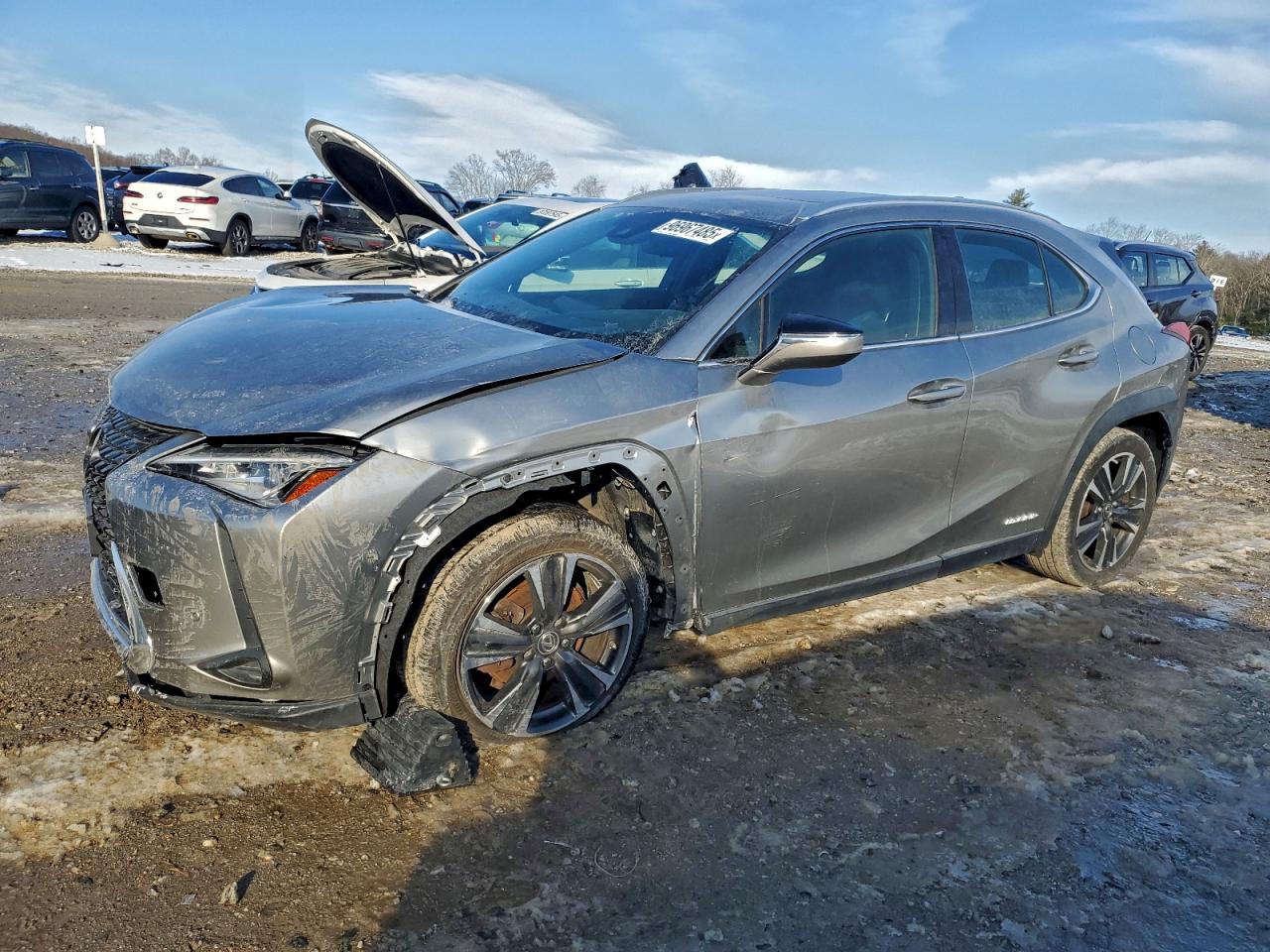 2019 LEXUS UX