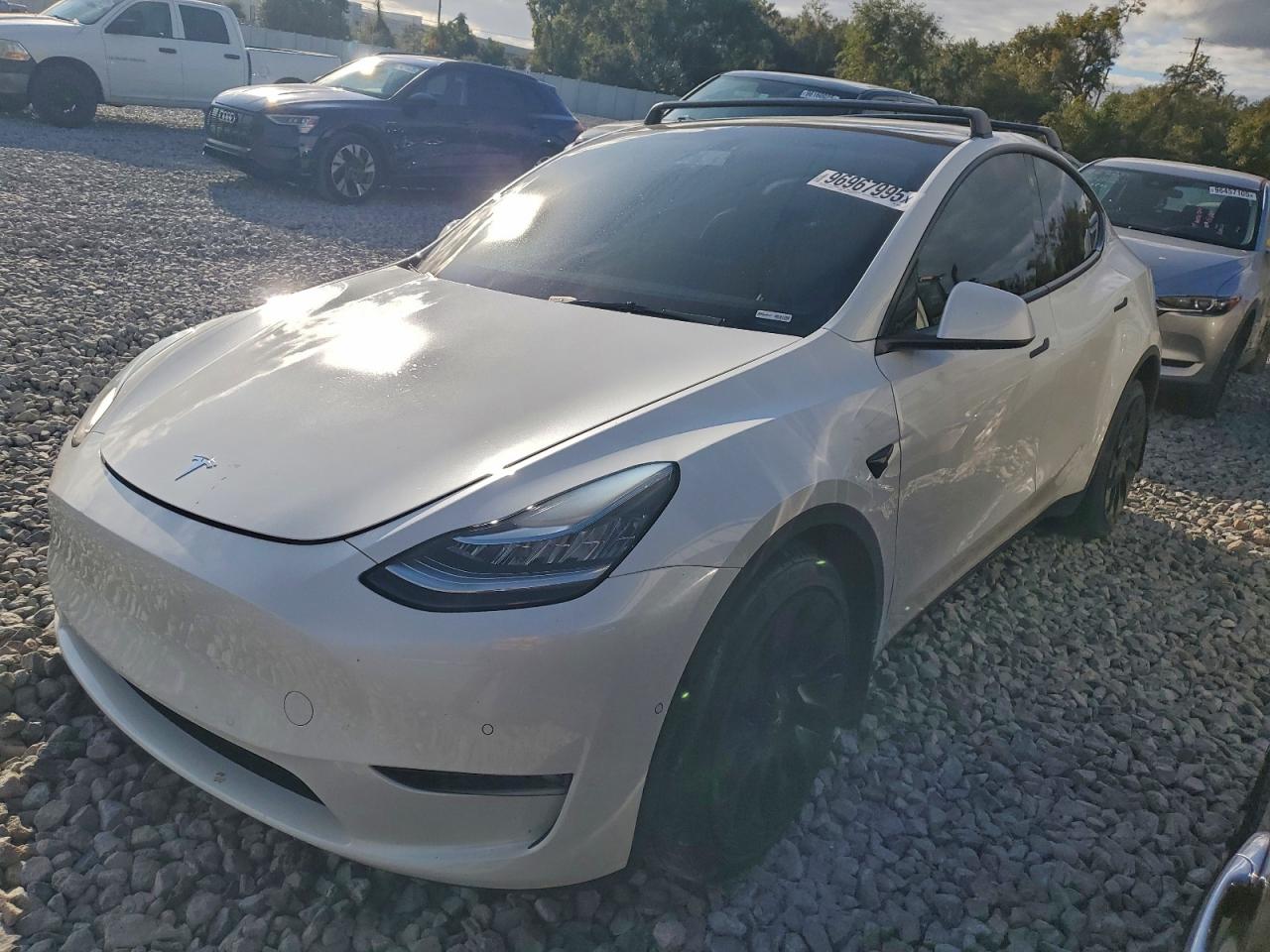 2021 TESLA MODEL Y