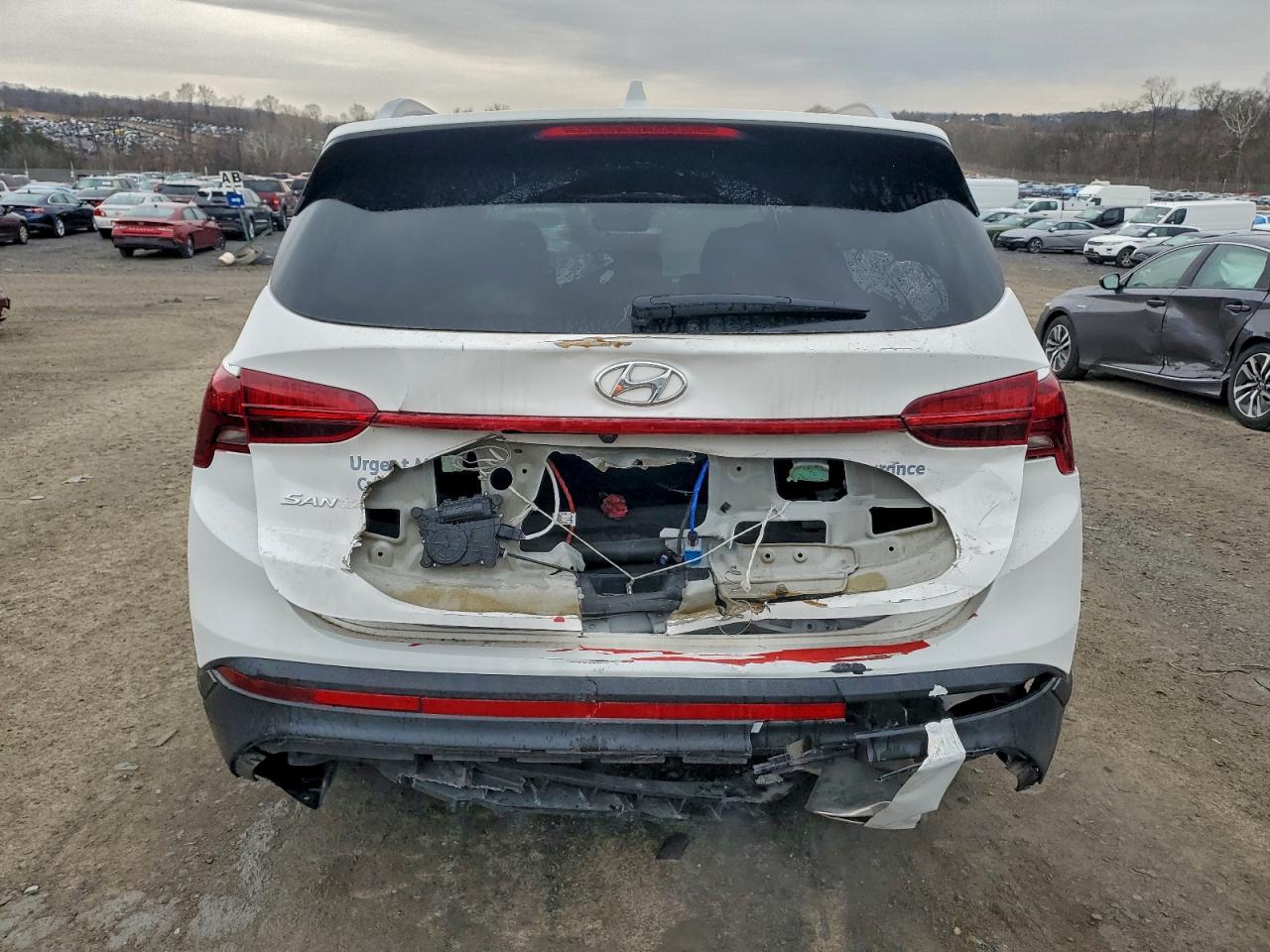 2023 HYUNDAI SANTA FE SEL photo 6